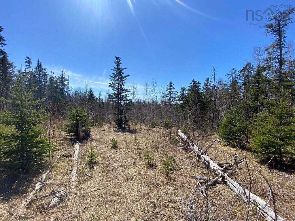 $129,000.00: Acreage Stronach Mountain Road, Melvern Square