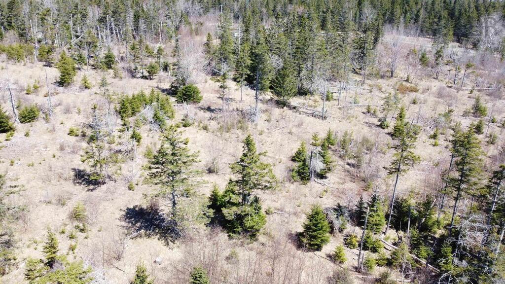 $129,000.00: Acreage Stronach Mountain Road, Melvern Square