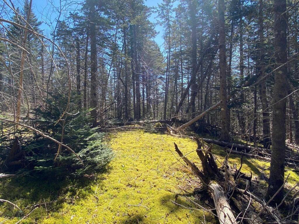 $129,000.00: Acreage Stronach Mountain Road, Melvern Square
