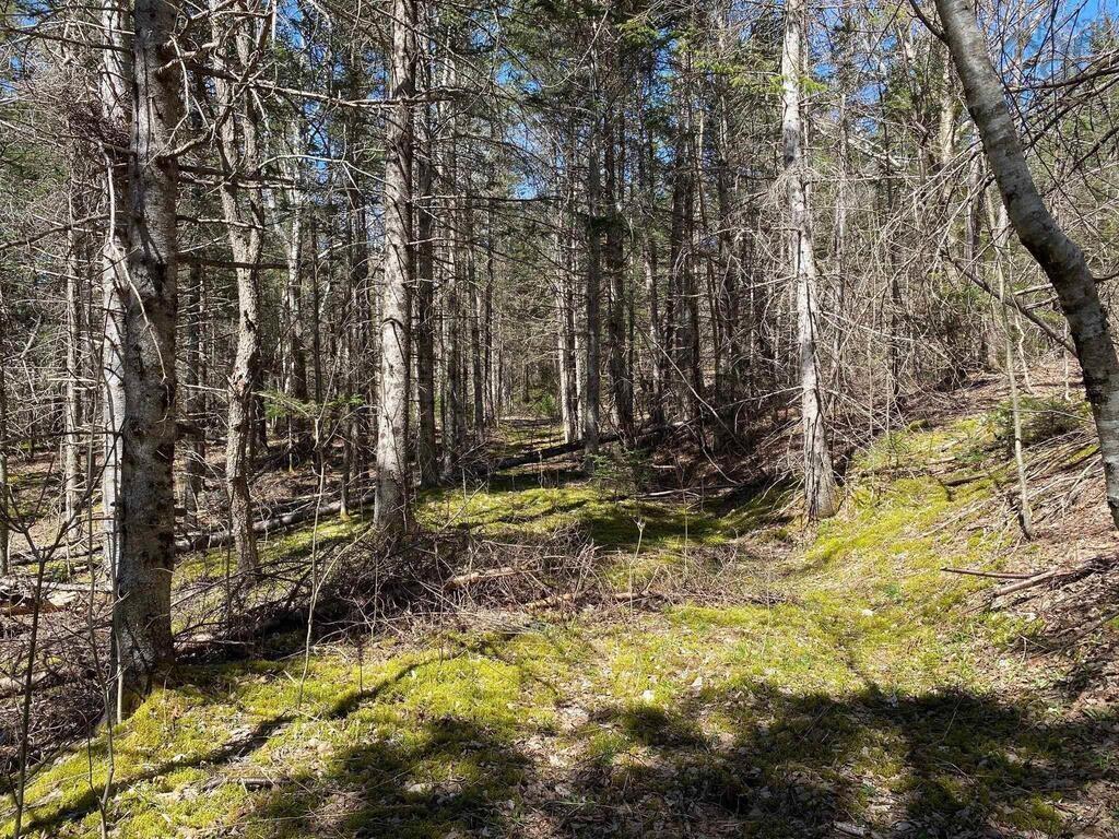 $129,000.00: Acreage Stronach Mountain Road, Melvern Square