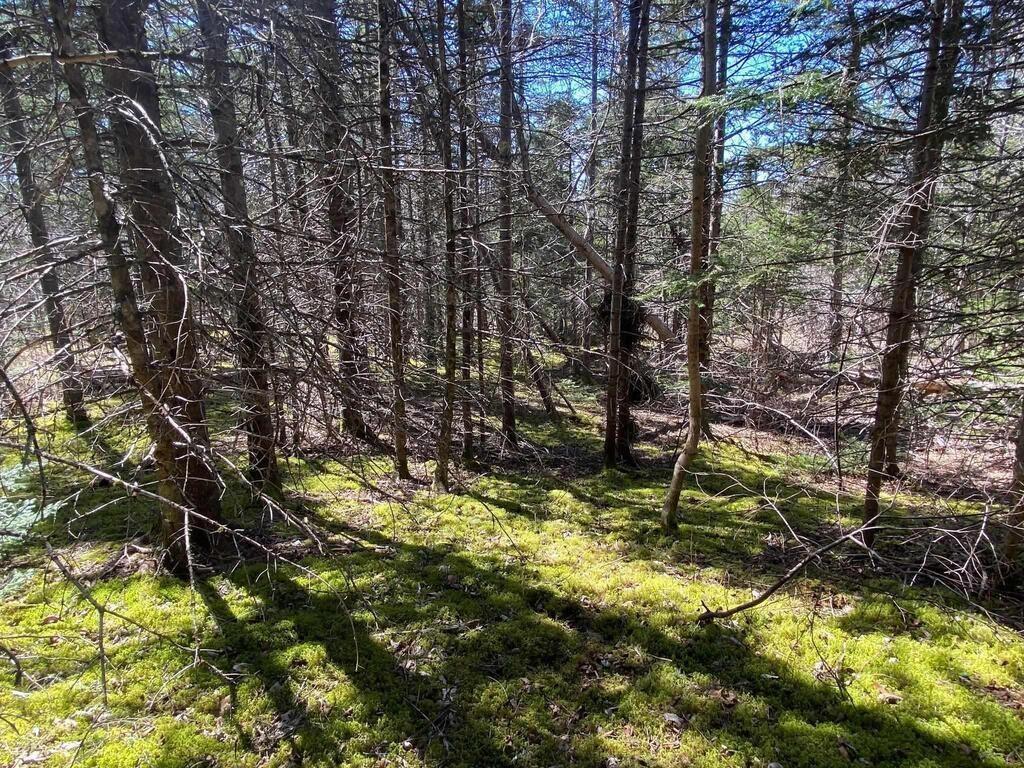 $129,000.00: Acreage Stronach Mountain Road, Melvern Square