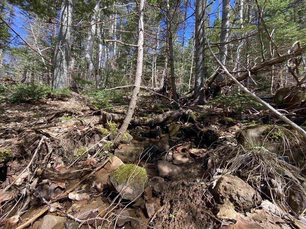 $129,000.00: Acreage Stronach Mountain Road, Melvern Square