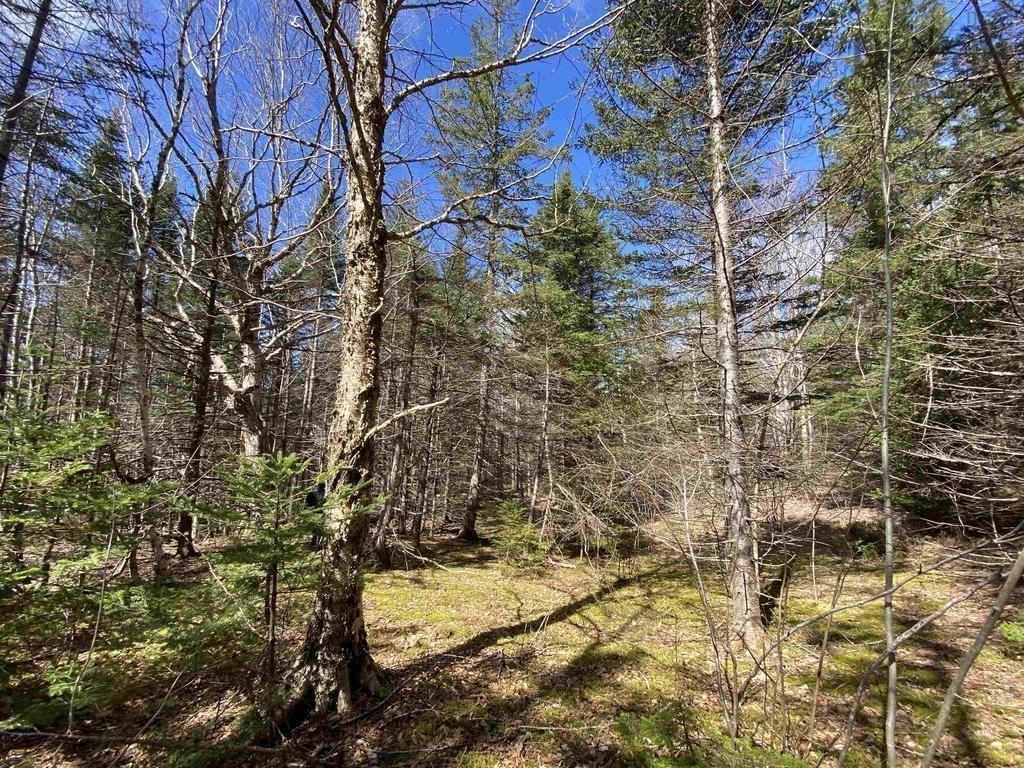 $129,000.00: Acreage Stronach Mountain Road, Melvern Square