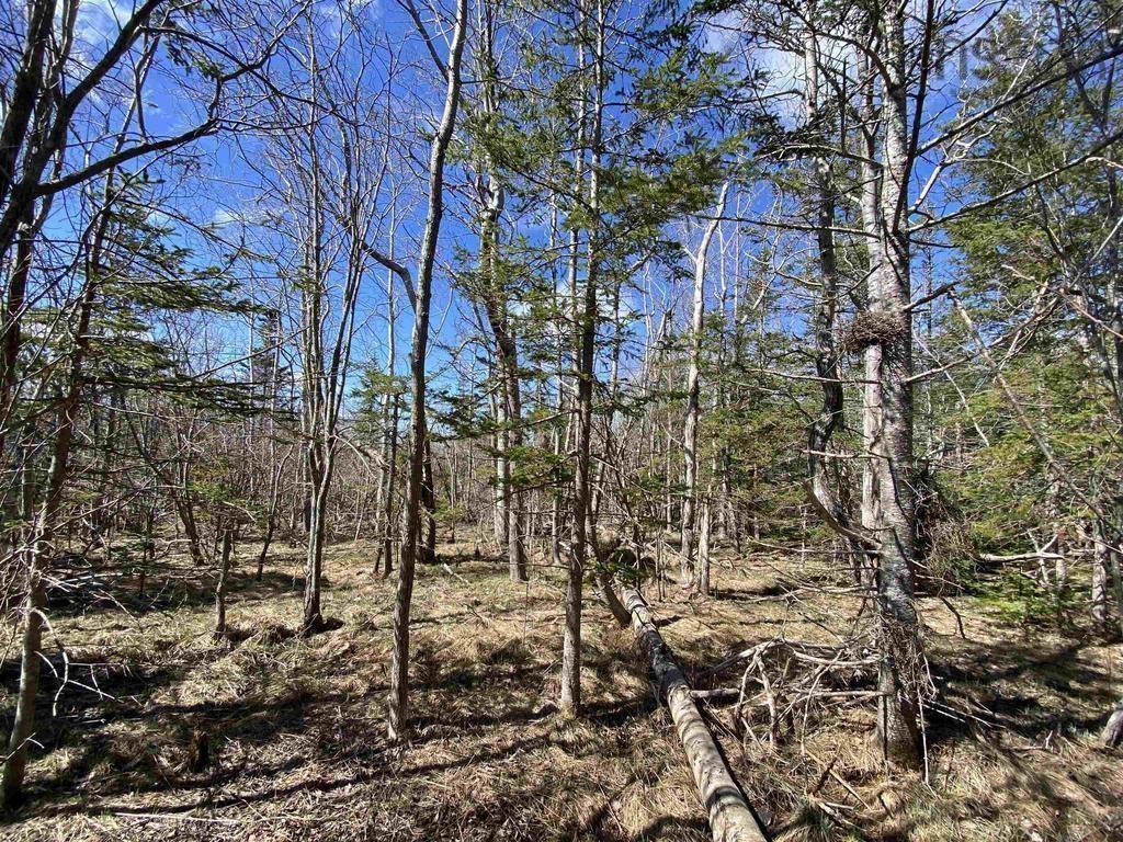 $129,000.00: Acreage Stronach Mountain Road, Melvern Square