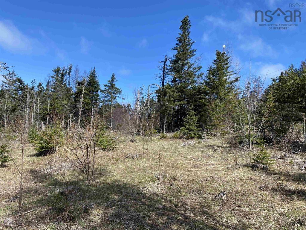 $129,000.00: Acreage Stronach Mountain Road, Melvern Square