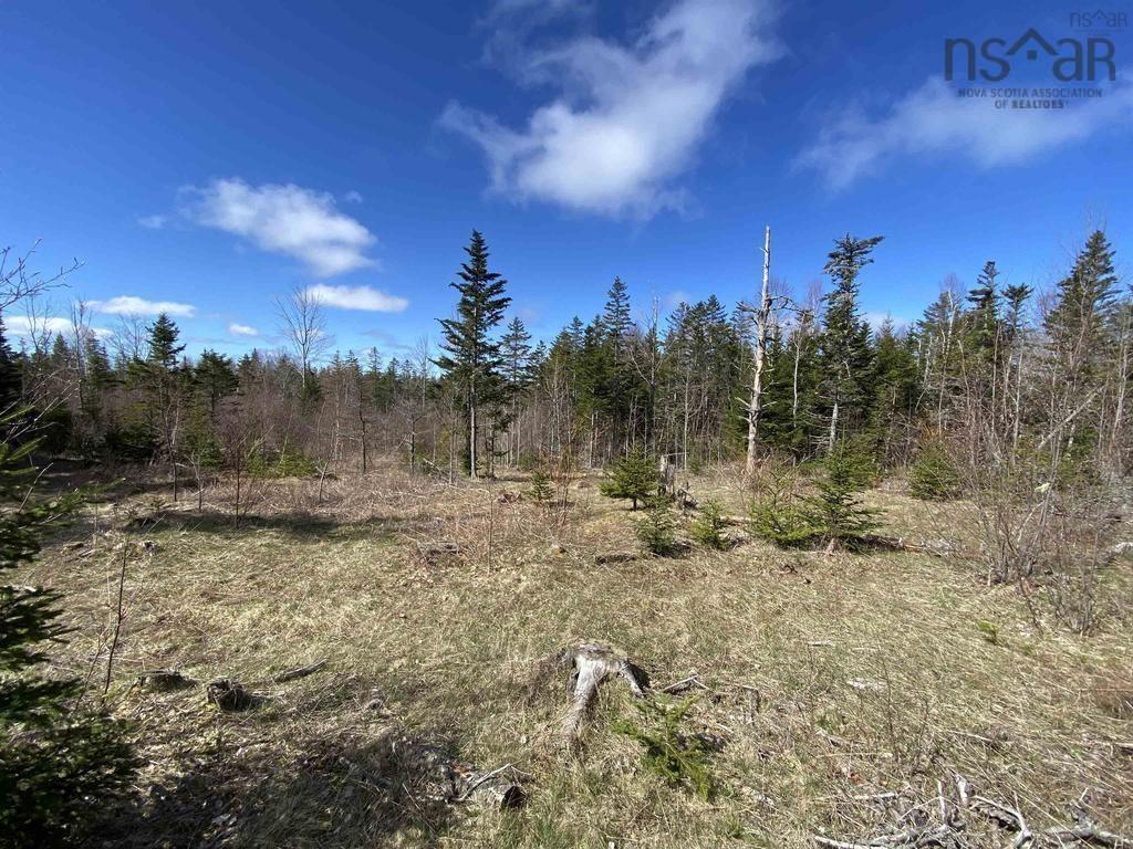 $129,000.00: Acreage Stronach Mountain Road, Melvern Square