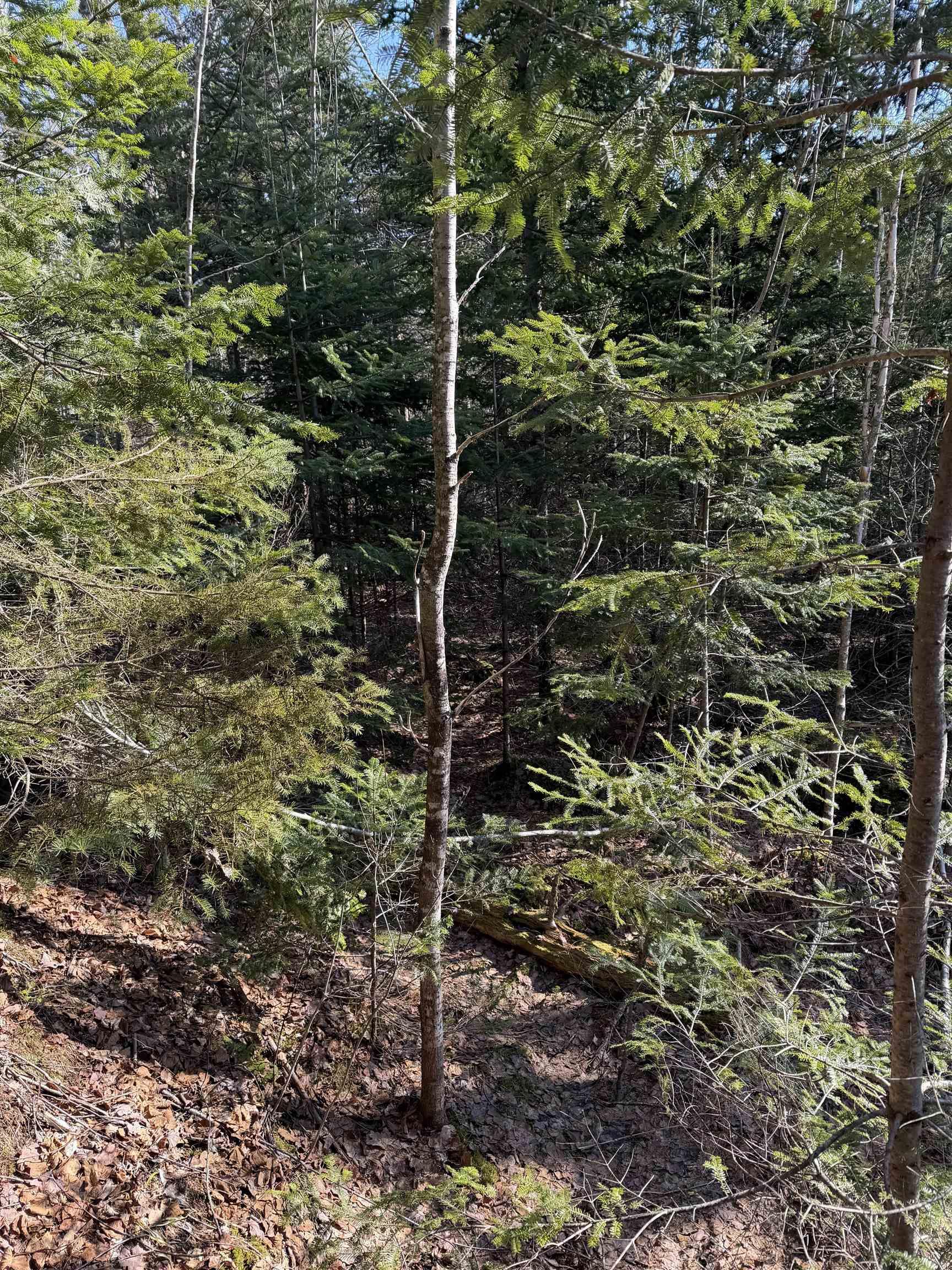 $29,900.00: B Old Alma Road, Alma