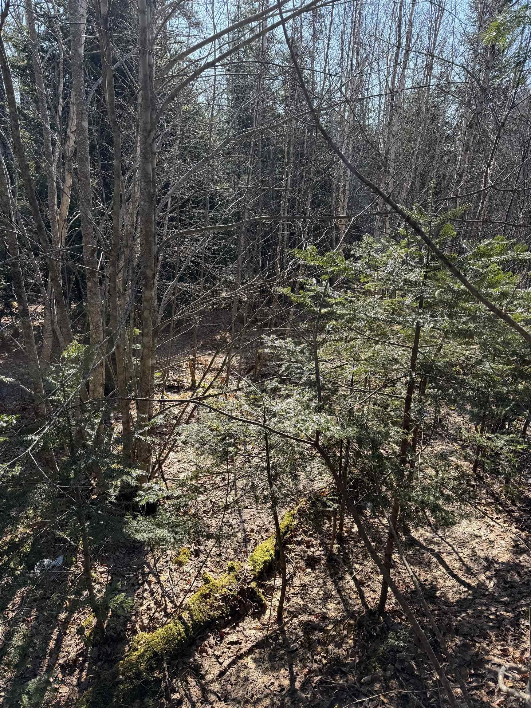 $29,900.00: B Old Alma Road, Alma