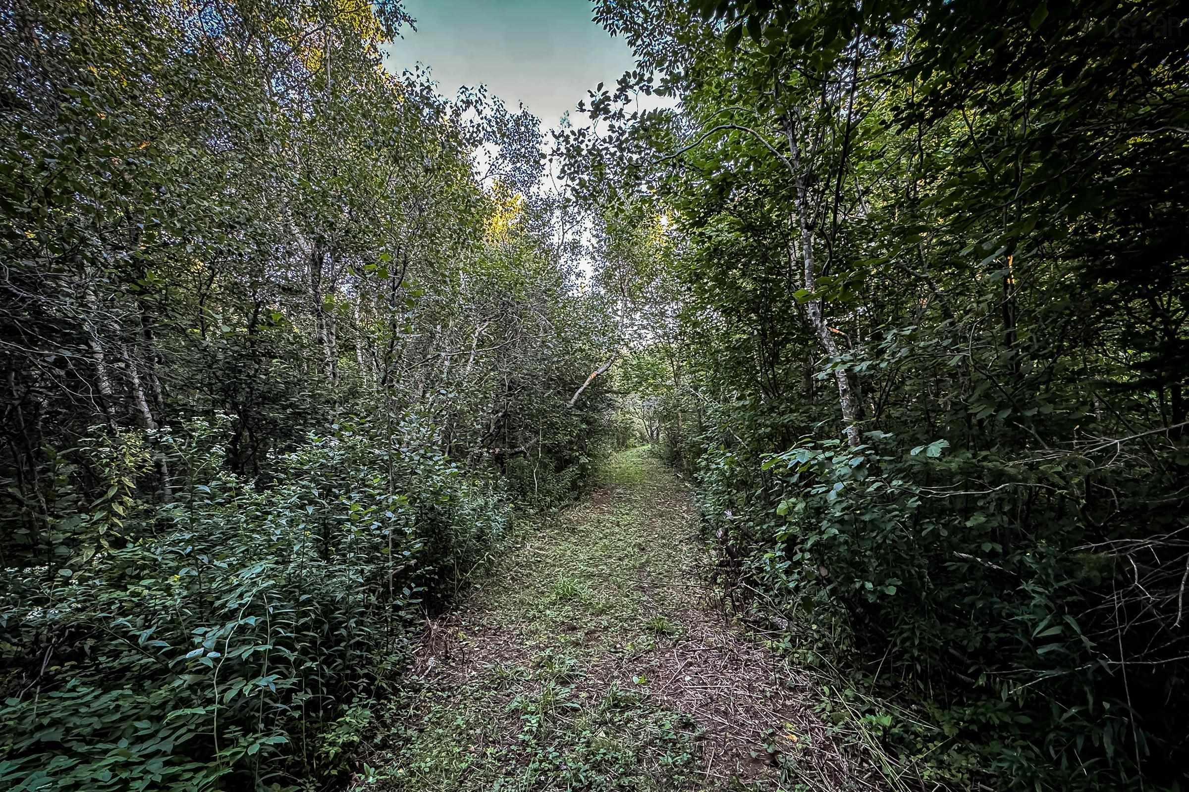 $49,900.00: Lot 3 Outram Road, Mount Hanley