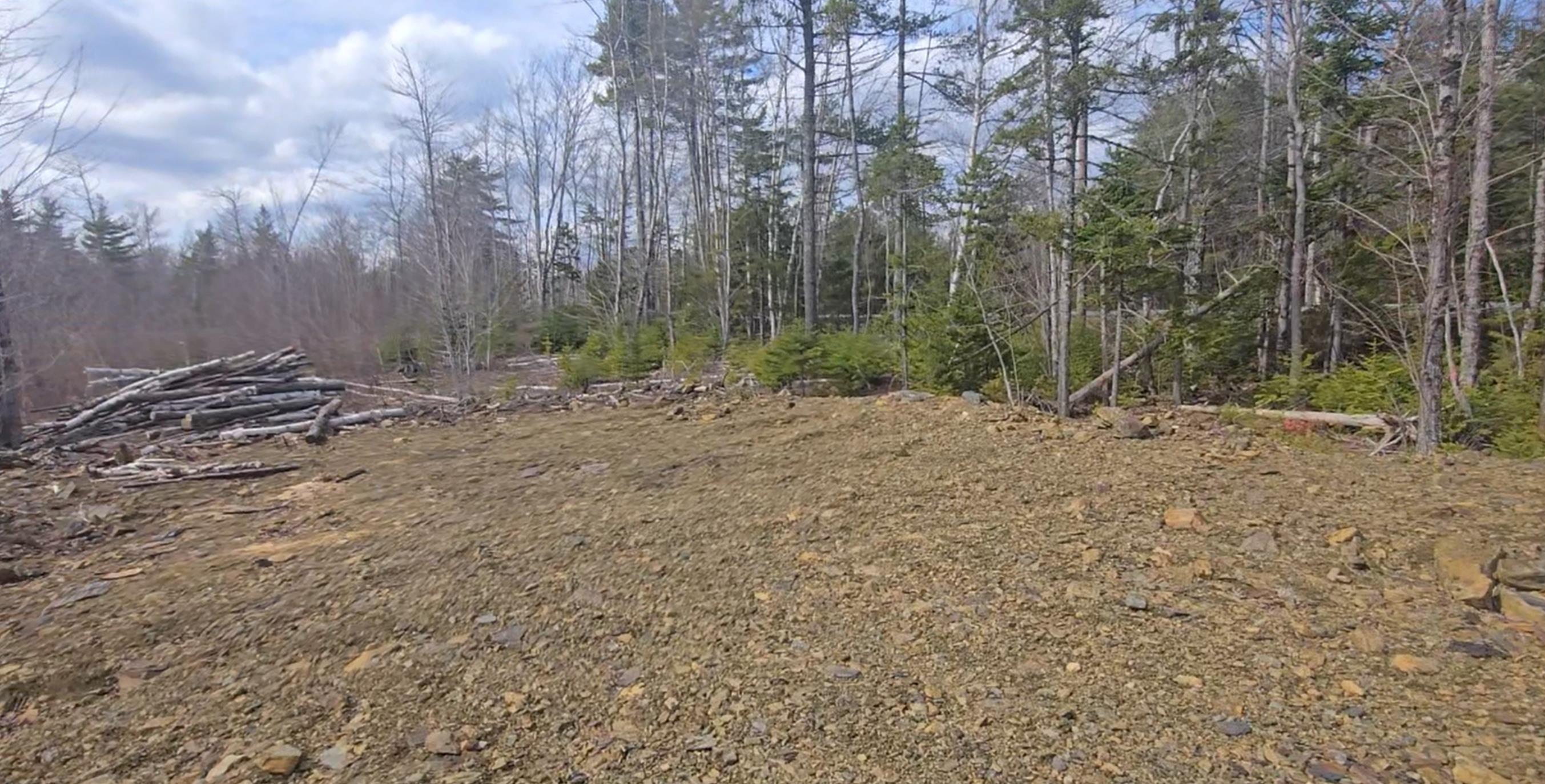 $46,500.00: Lot 25-4 Upper Branch Road, Midville Branch