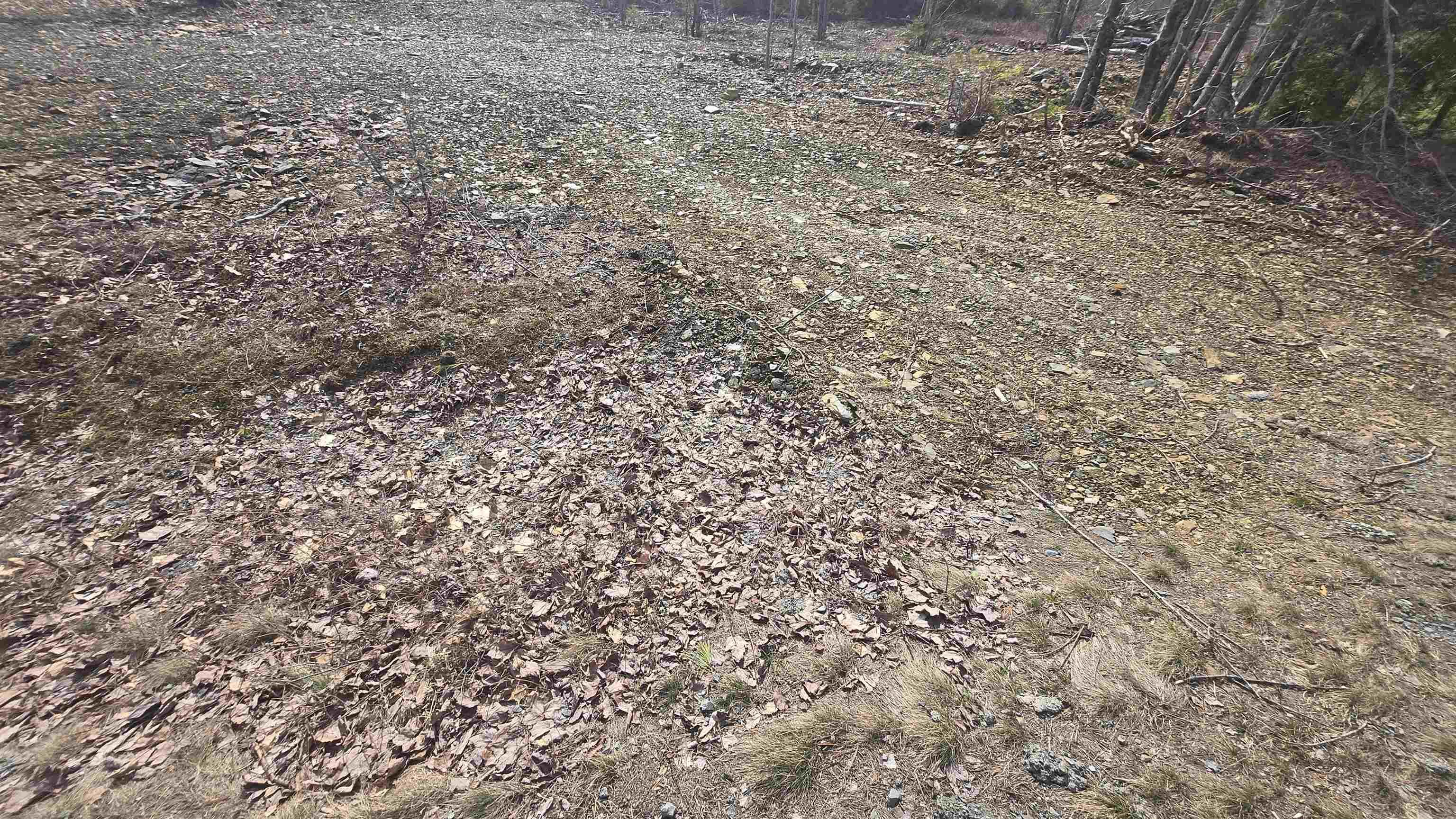 $46,500.00: Lot 25-4 Upper Branch Road, Midville Branch