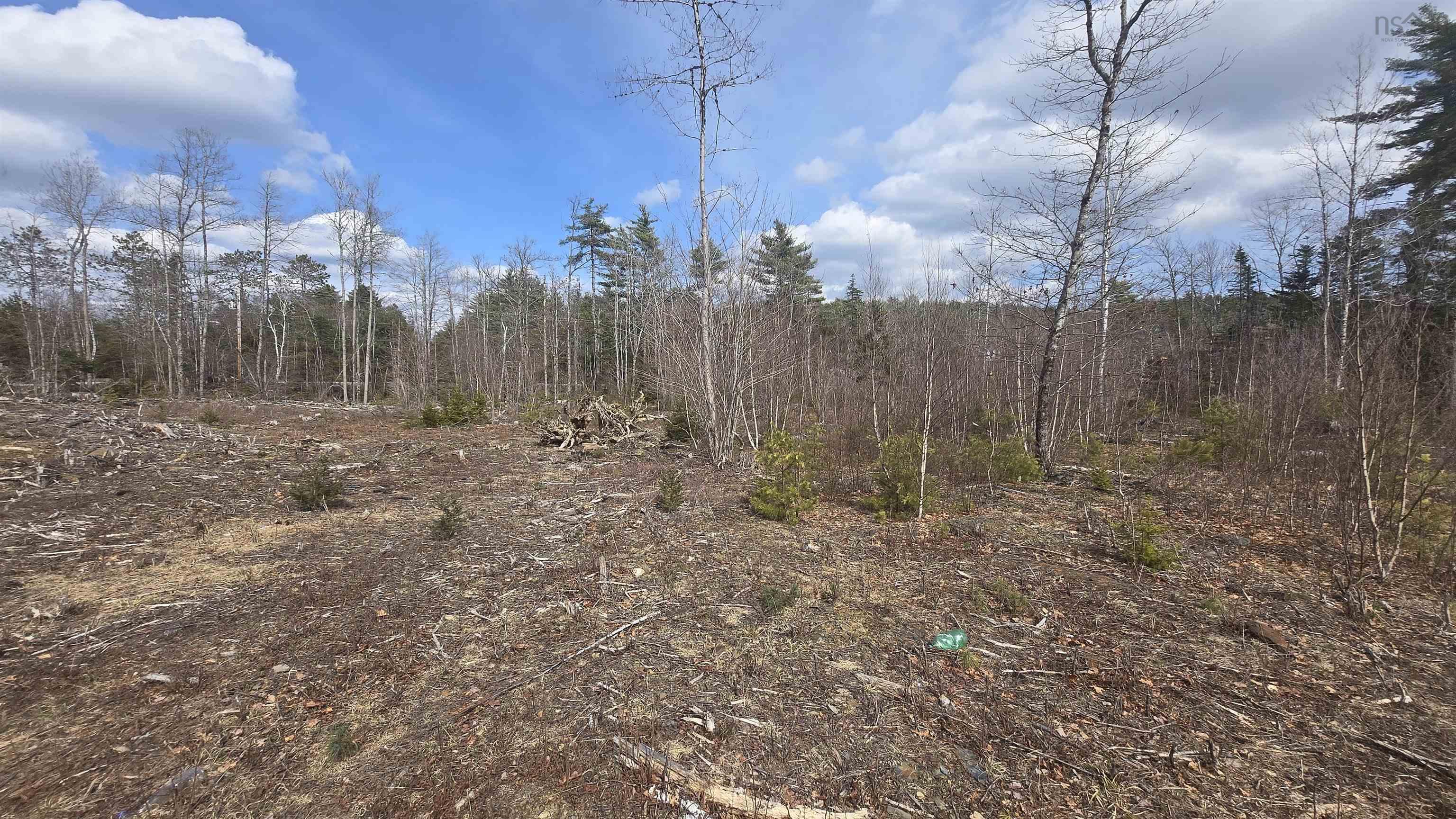 Lot 25-1 Upper Branch Road, Midville Branch, NS (MLS 202606928)