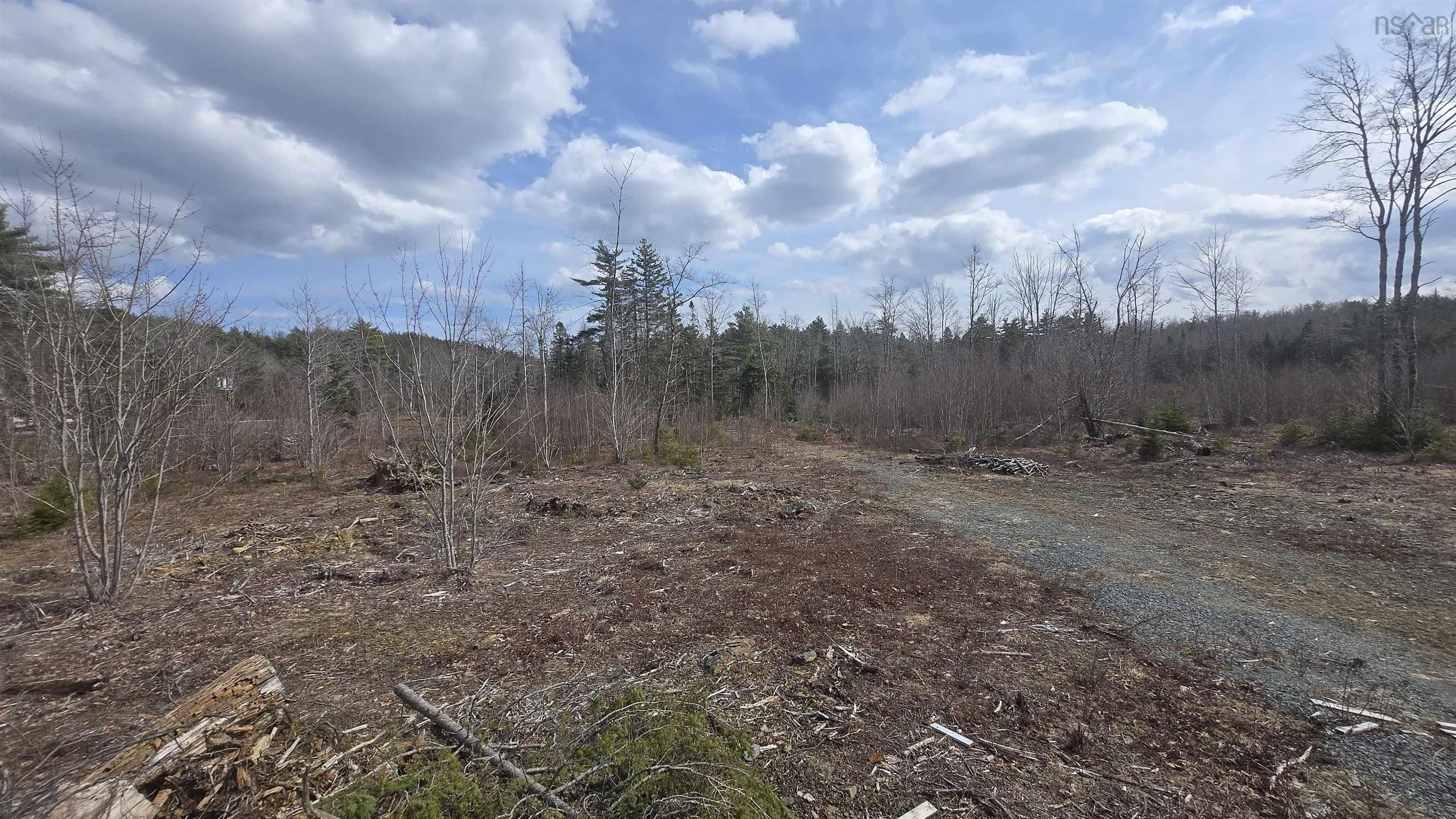 $46,500.00: Lot 25-1 Upper Branch Road, Midville Branch