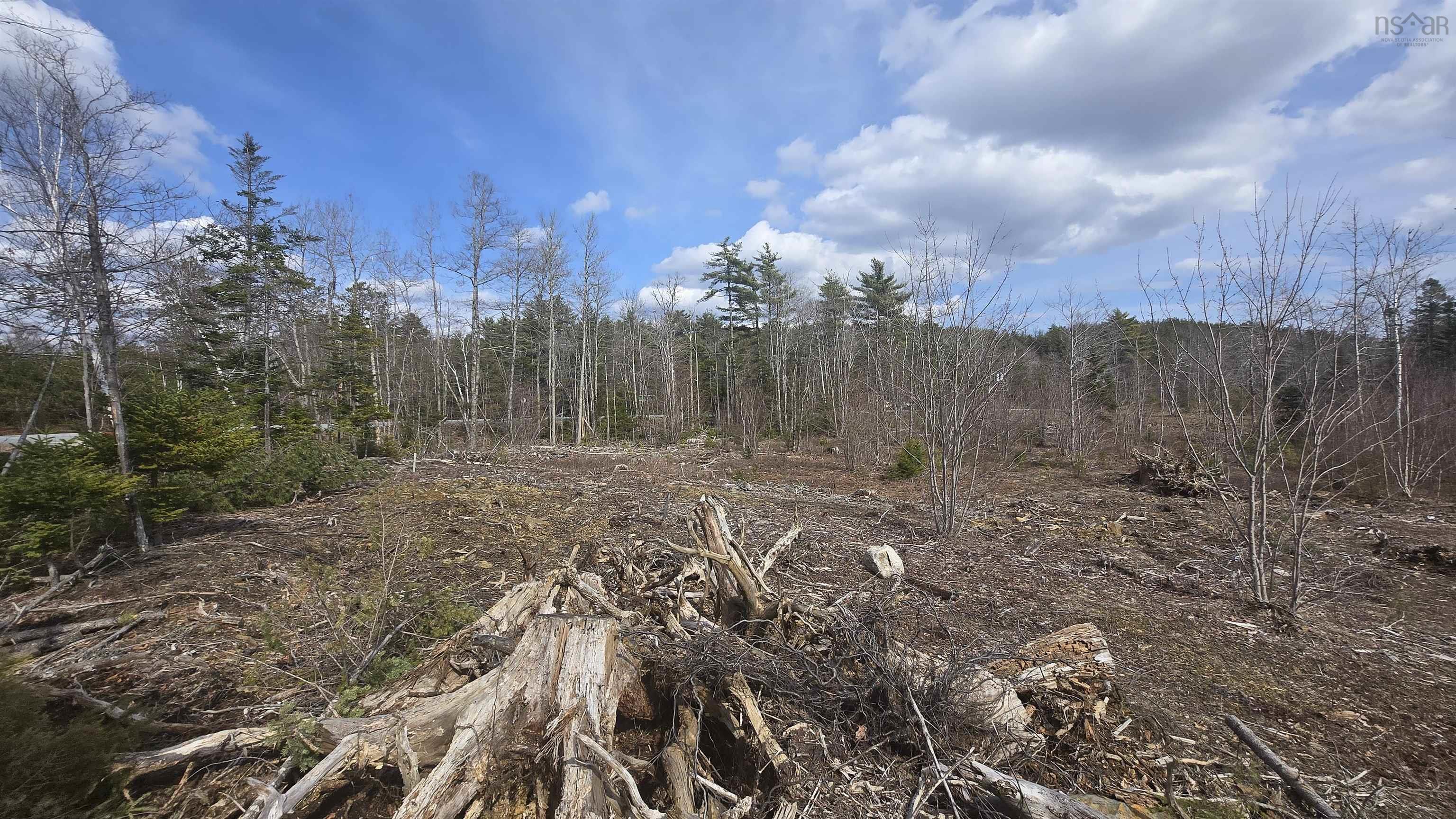 $46,500.00: Lot 25-1 Upper Branch Road, Midville Branch