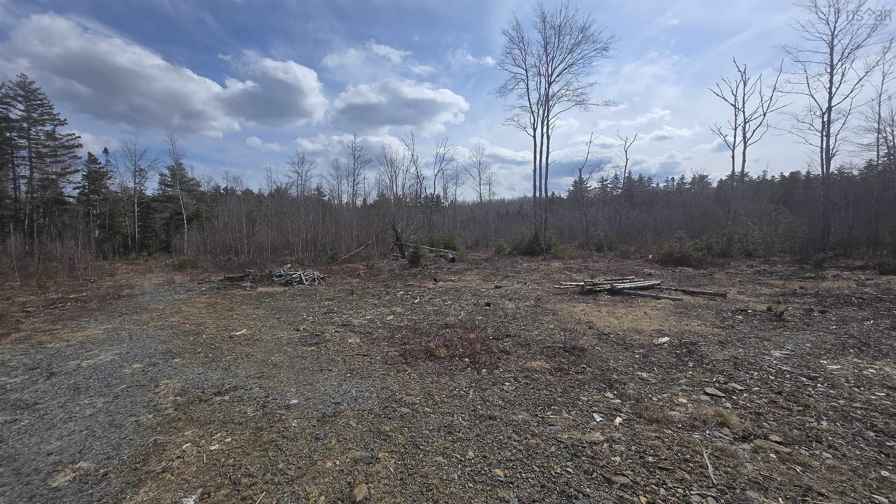 $46,500.00: Lot 25-1 Upper Branch Road, Midville Branch
