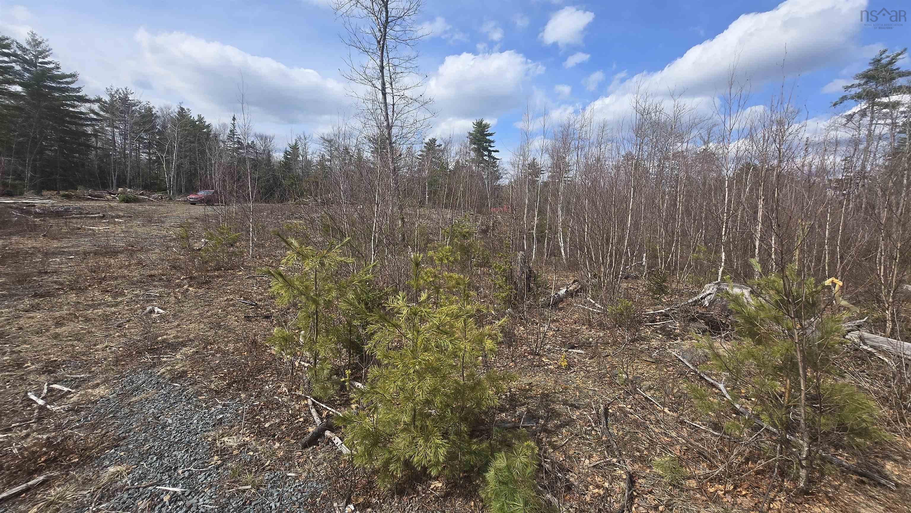 $46,500.00: Lot 25-1 Upper Branch Road, Midville Branch