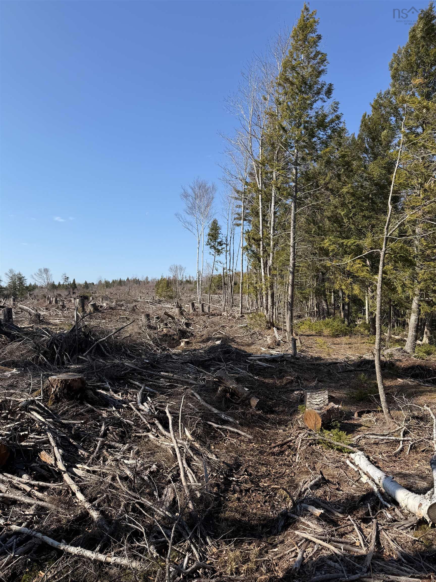 $34,990.00: Lot B Alma Road, Alma
