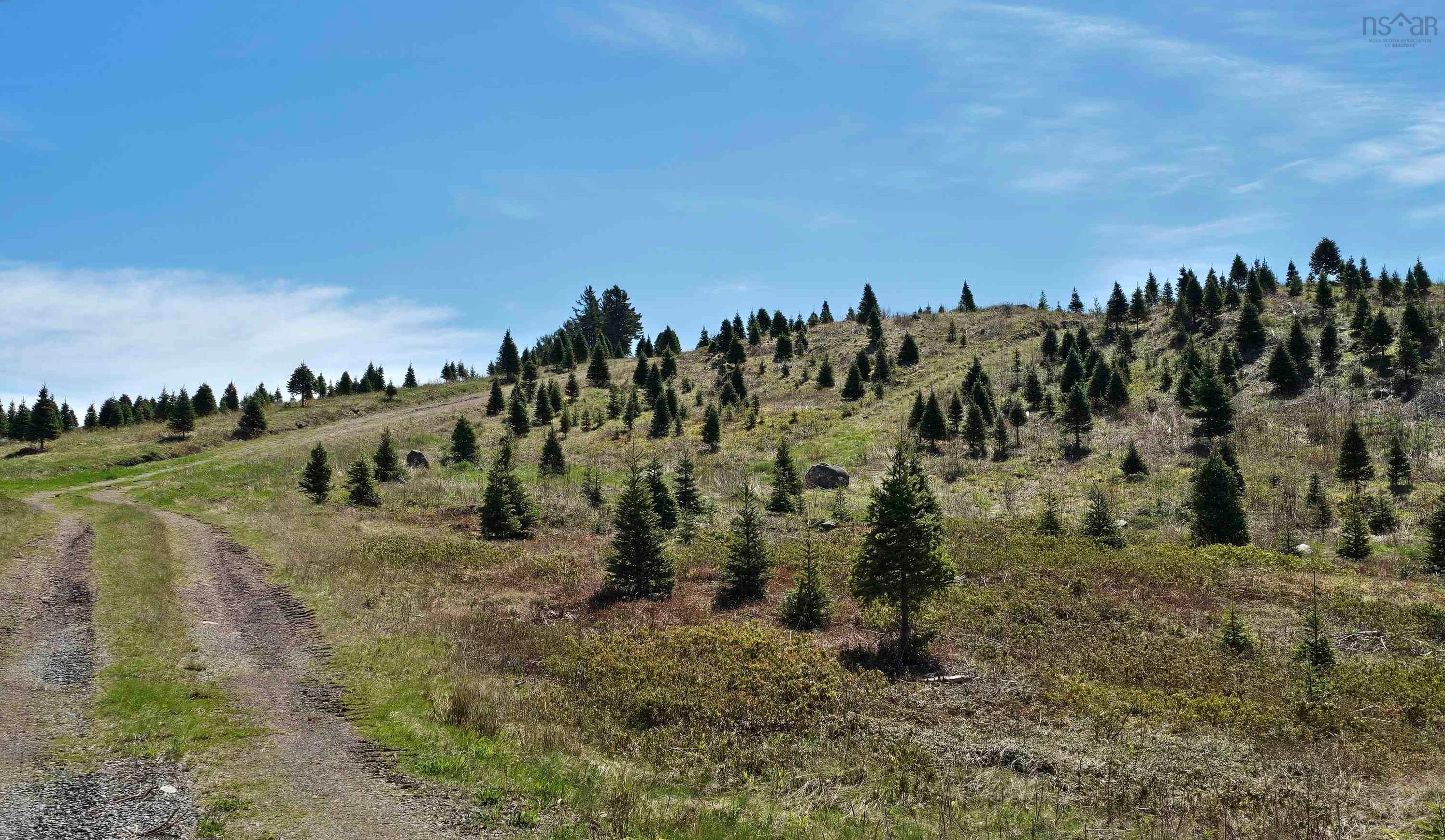 $170,000.00: 9273 highway 16, Cooks Cove