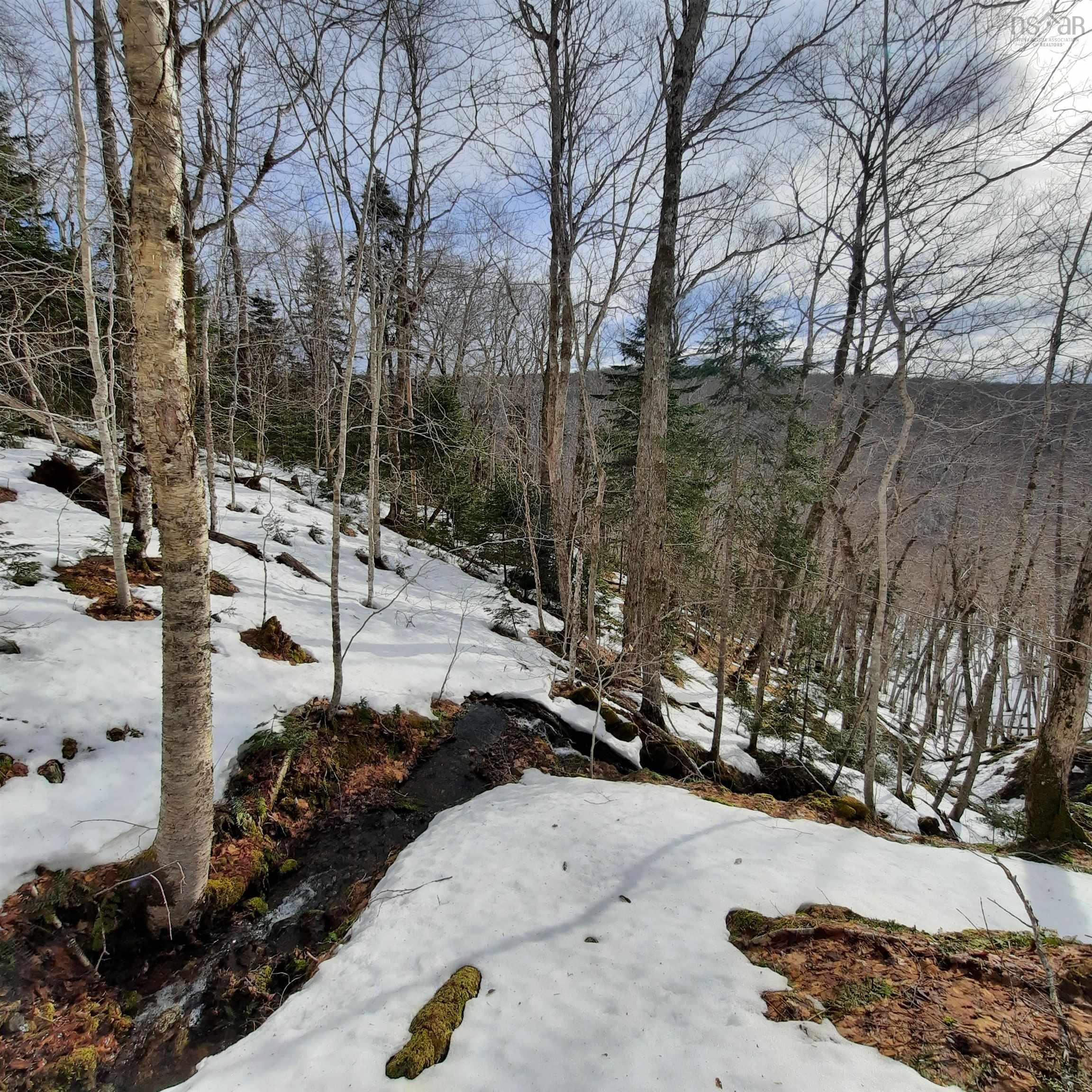 $44,900.00: 594 Whycocomagh Mountain Rd, Whycocomagh