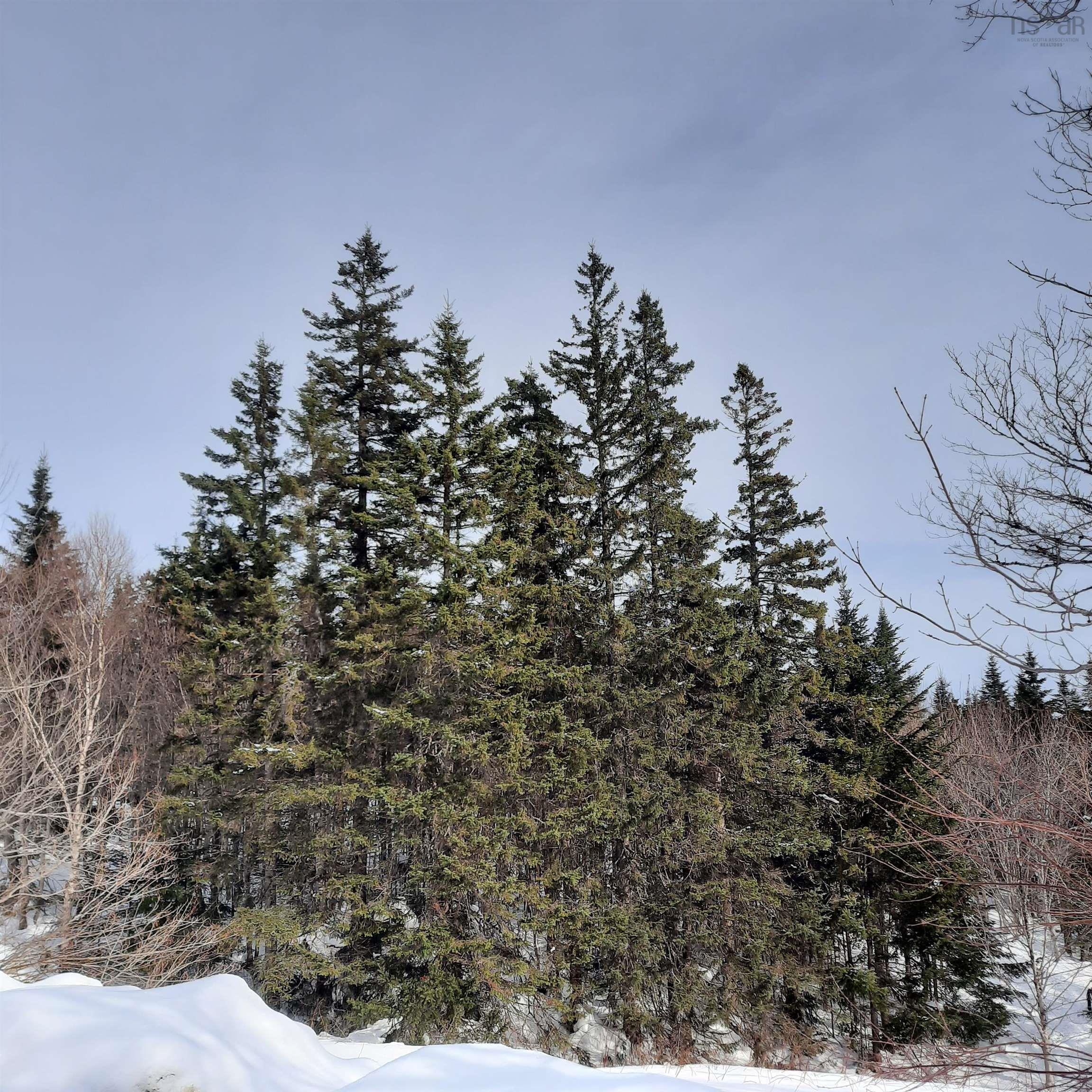 $44,900.00: 594 Whycocomagh Mountain Rd, Whycocomagh