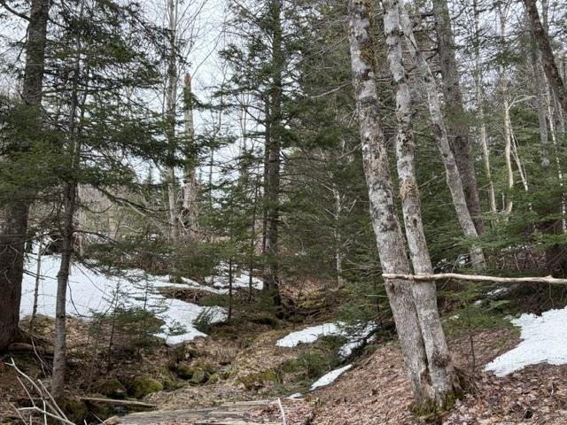 $44,900.00: 594 Whycocomagh Mountain Rd, Whycocomagh