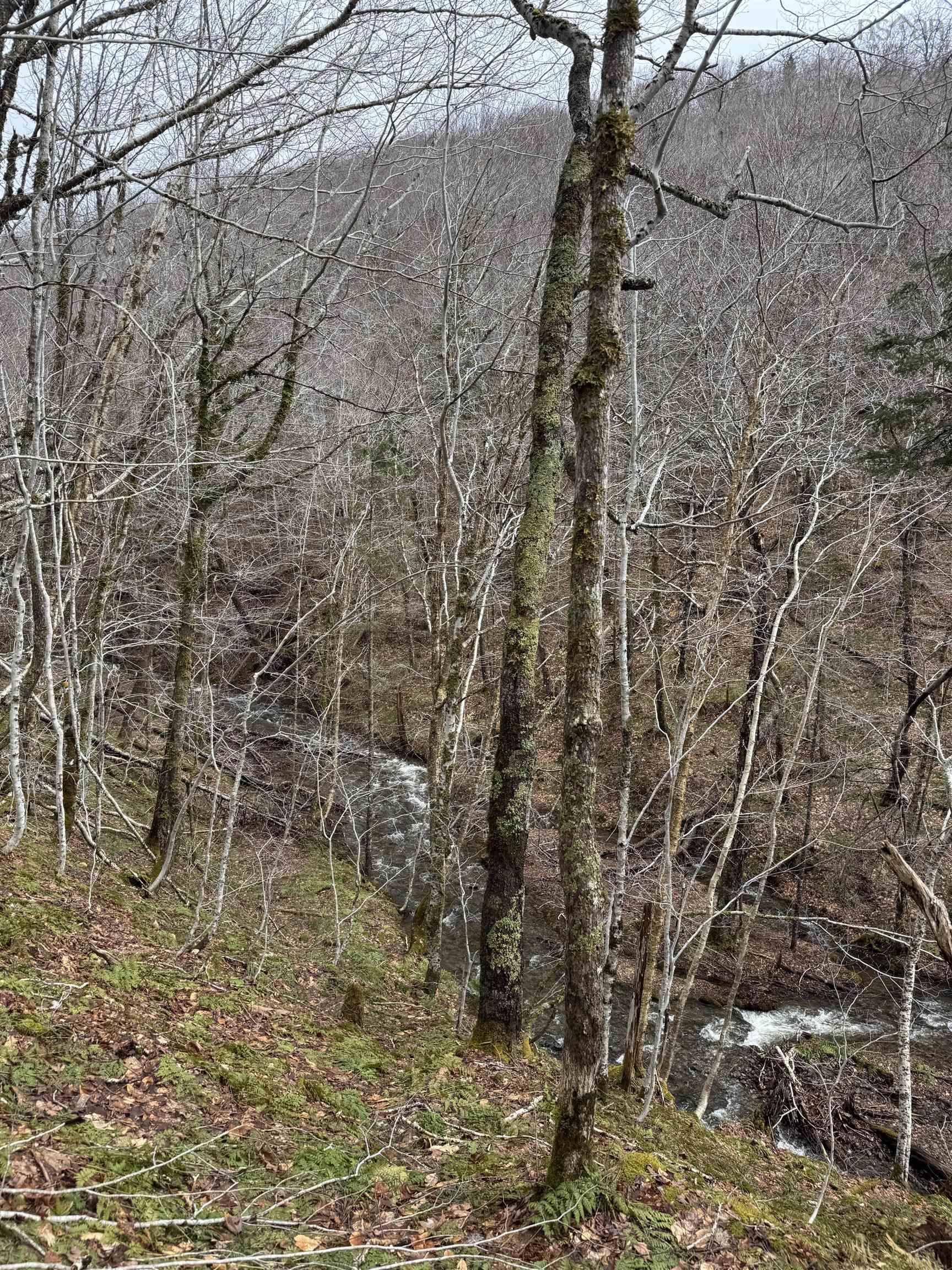 $44,900.00: 594 Whycocomagh Mountain Rd, Whycocomagh