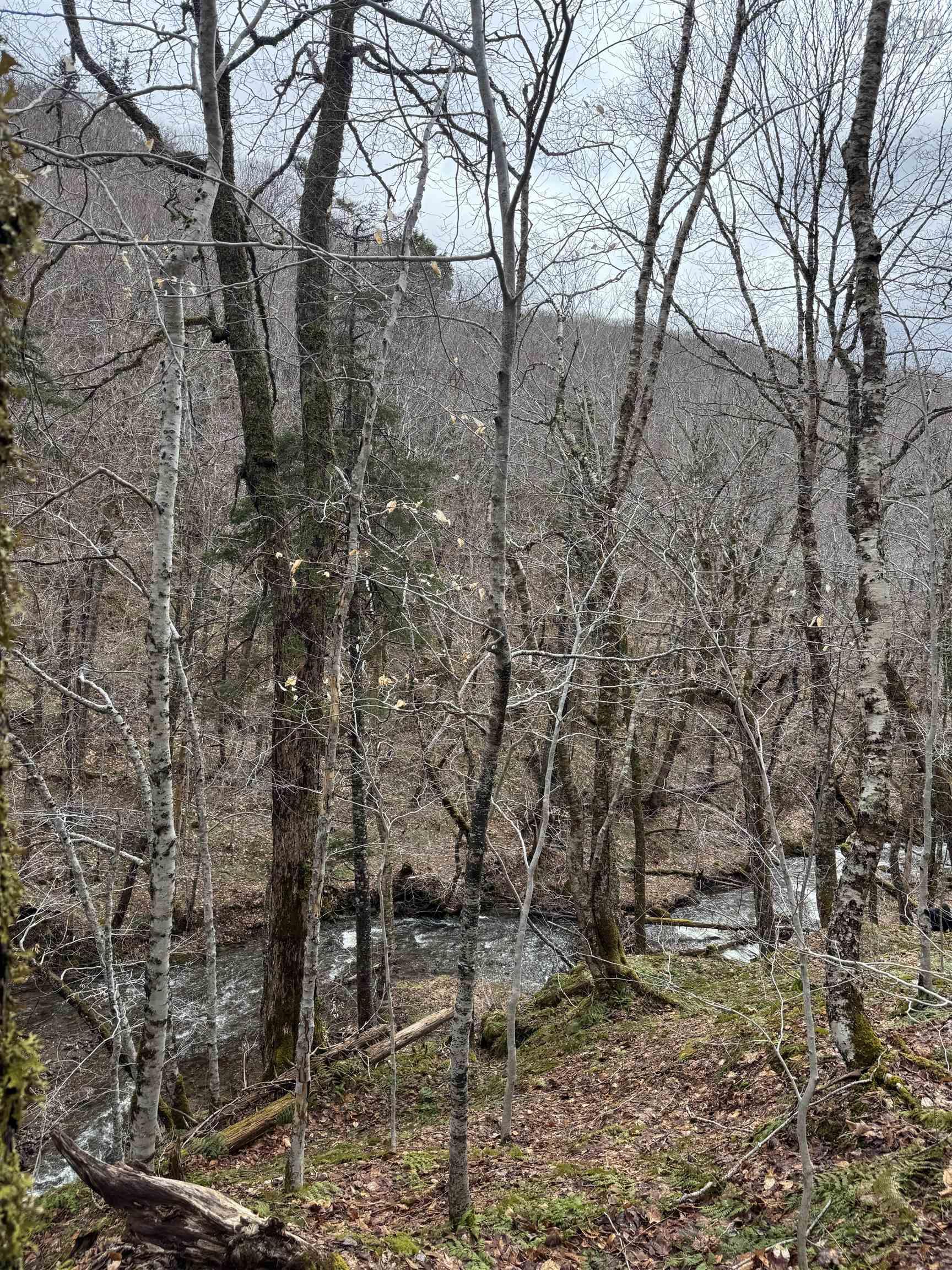 $44,900.00: 594 Whycocomagh Mountain Rd, Whycocomagh