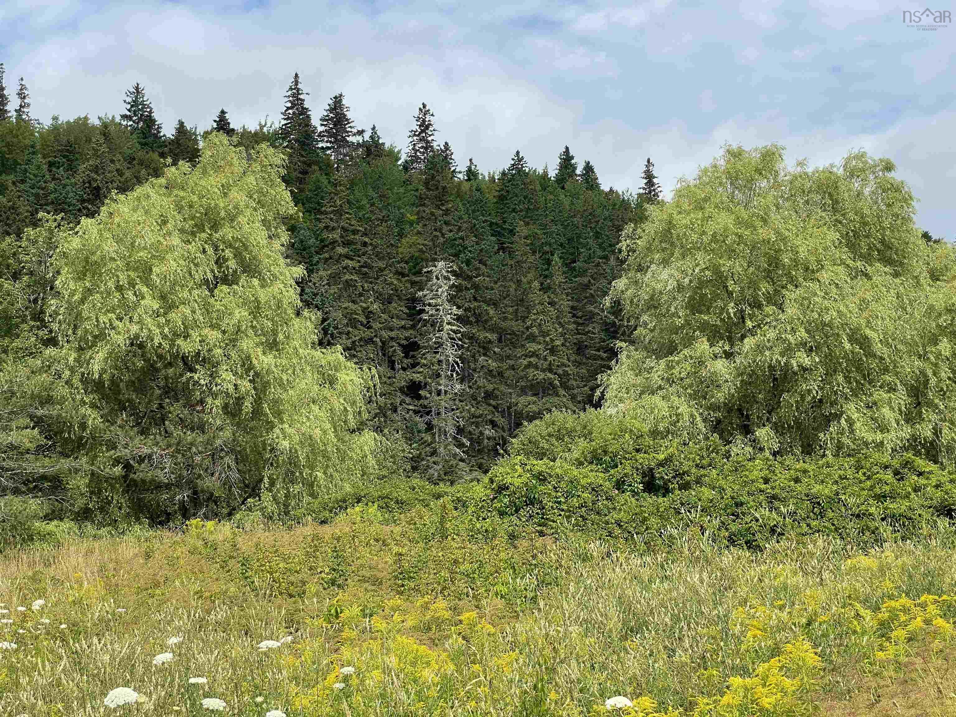 $155,000.00: 233AC Meagher Road, Hays River