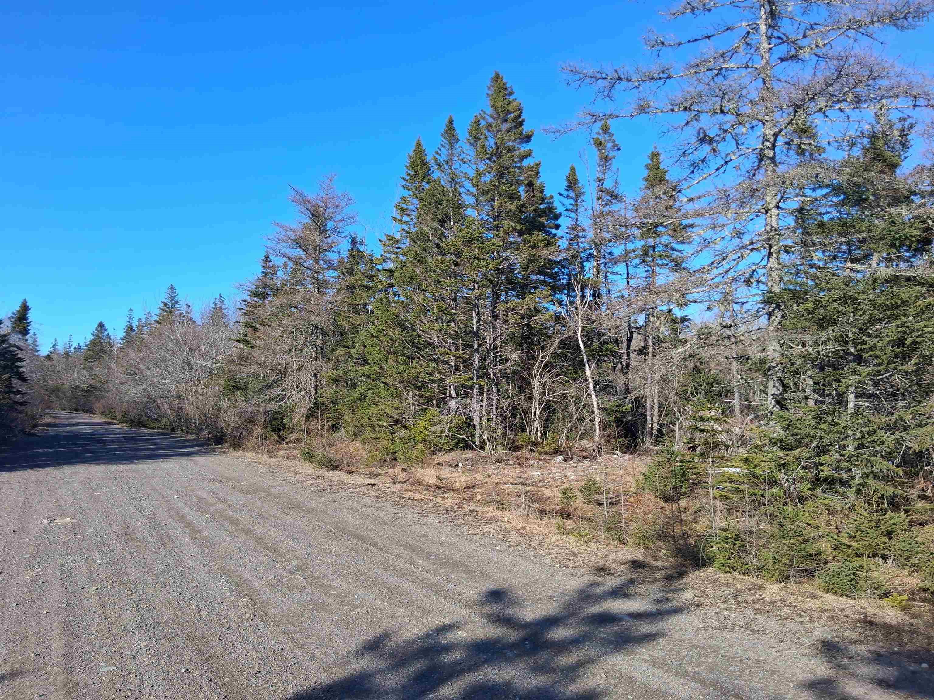 0 Goose Harbour Road, Goose Harbour Lake, NS (MLS 202607246)