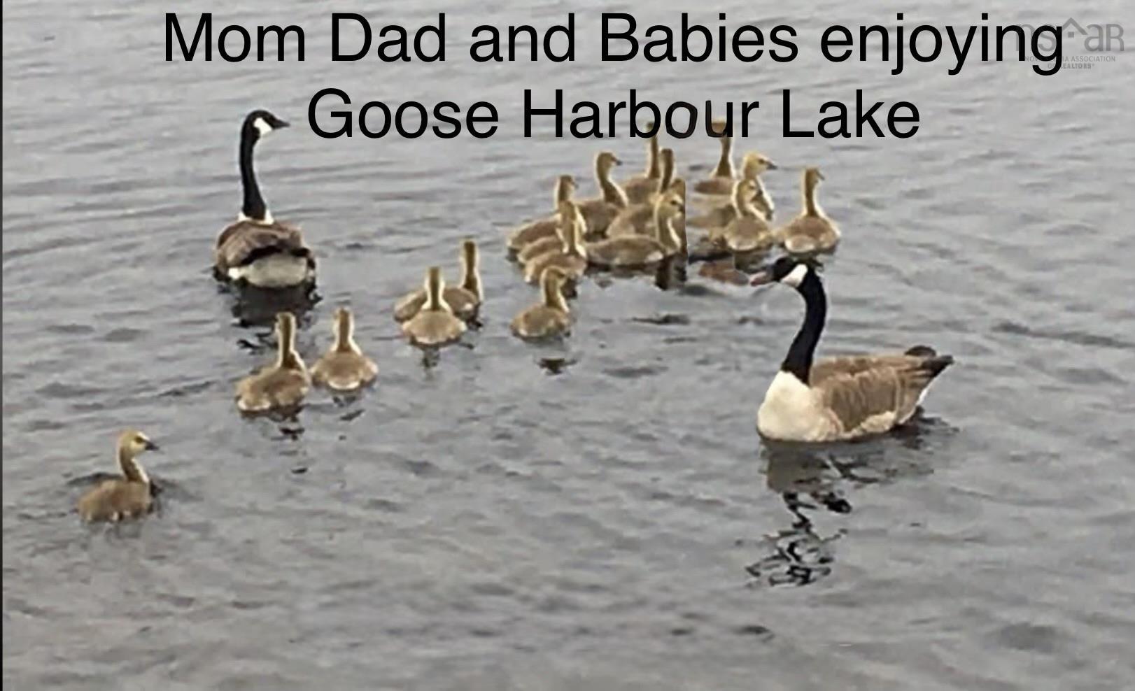 $187,000.00: 0 Goose Harbour Road, Goose Harbour Lake