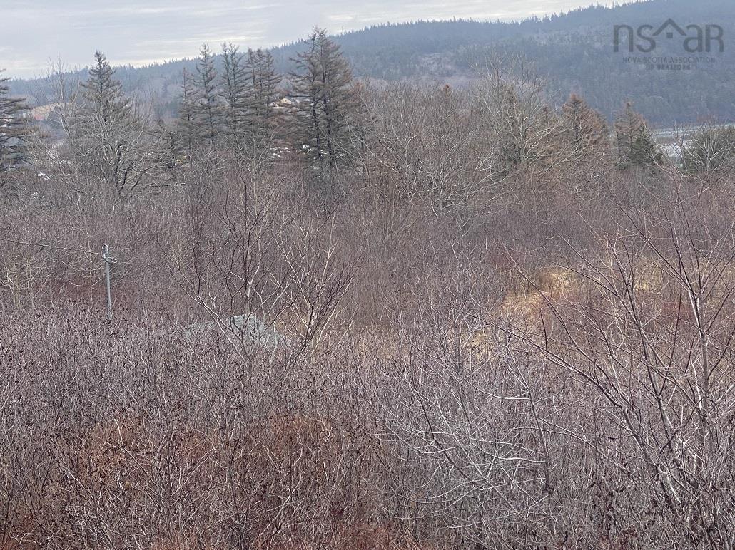 $48,500.00: 37 Arcadie Road, Sandy Cove