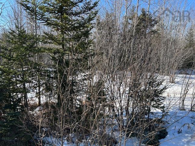 $69,900.00: Greenfield Road, Mosherville