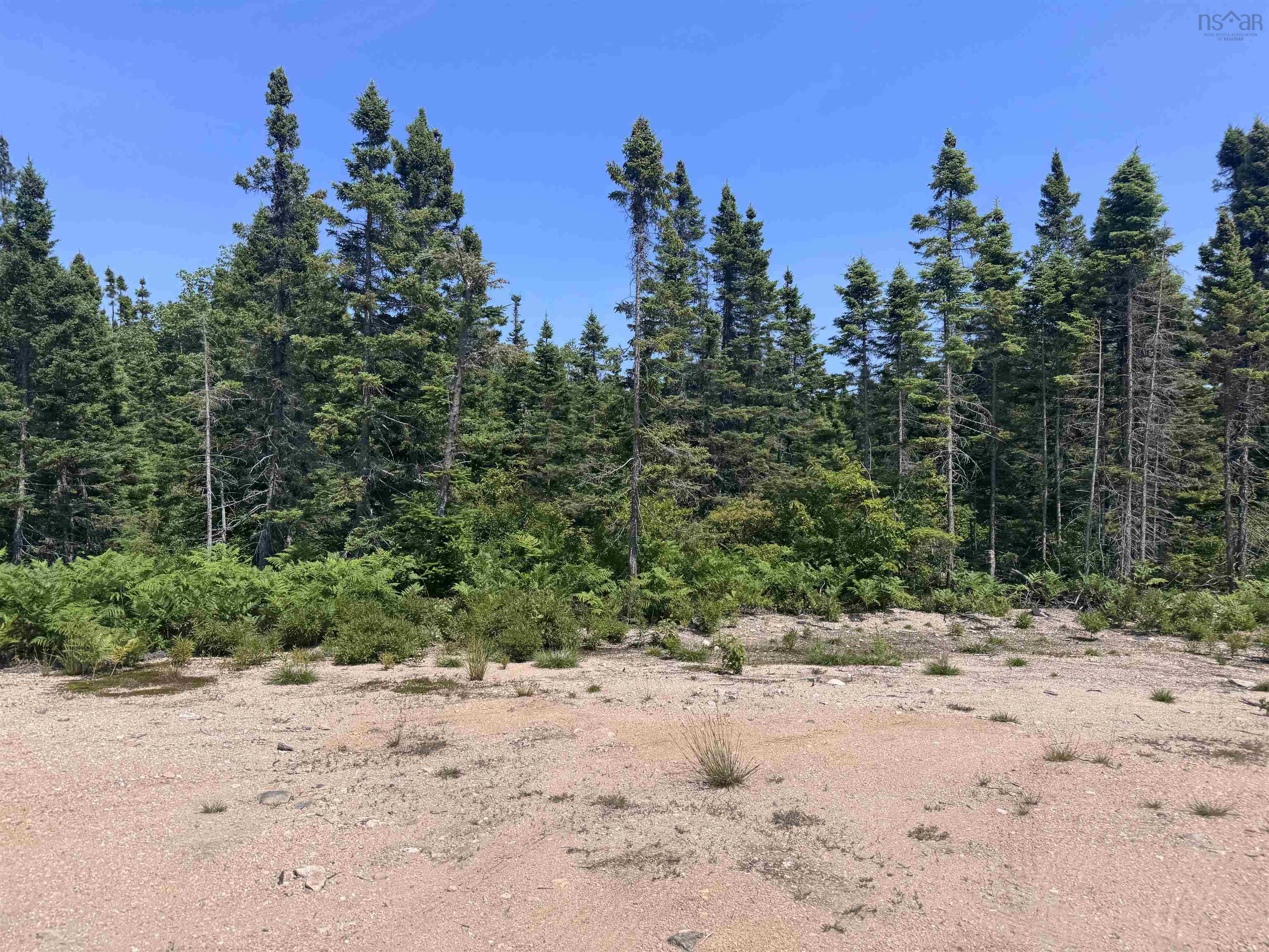 $49,900.00: Cabot Trail, Ingonish