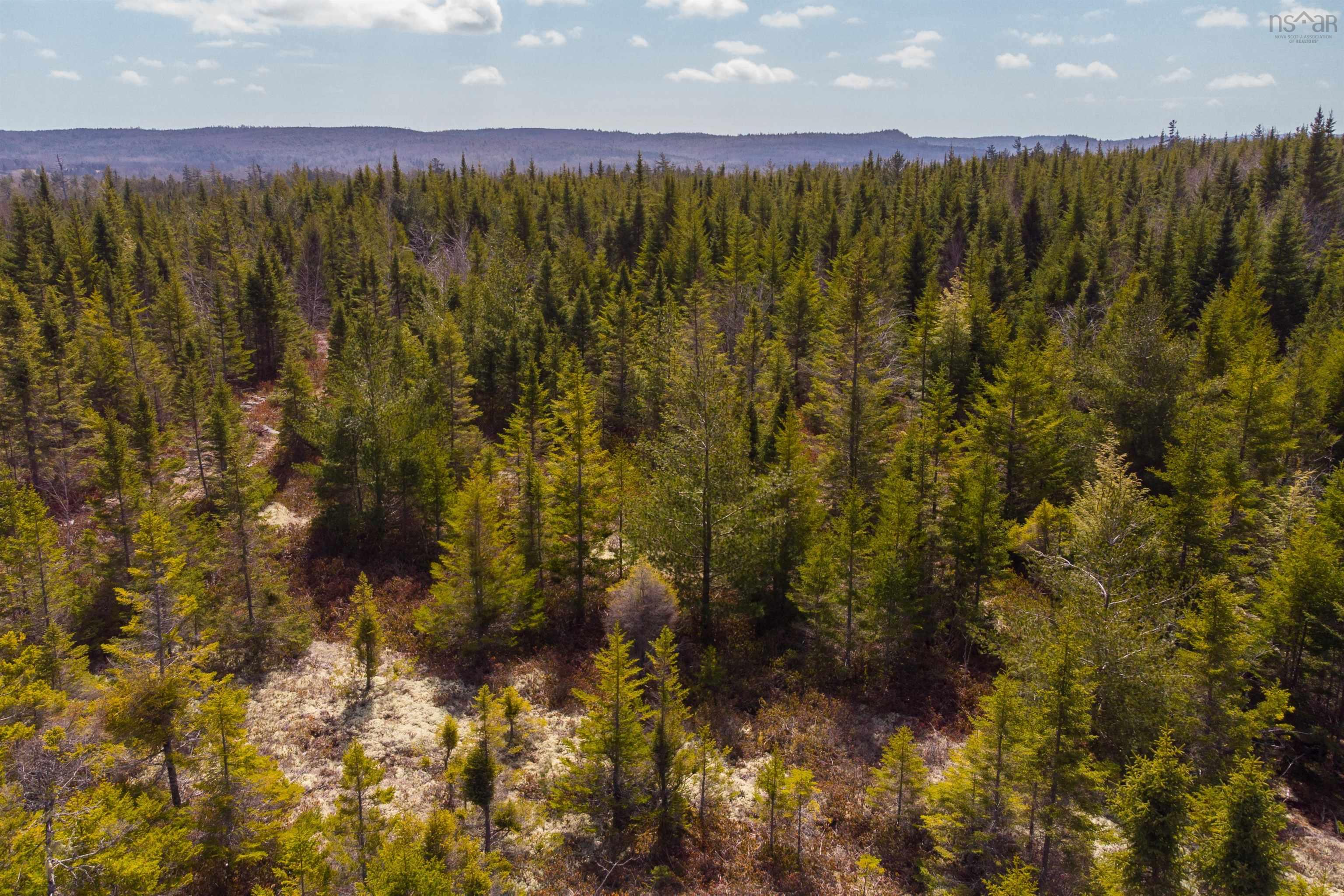 Lot 4 the Grant Preserve, Musquodoboit River, NS (MLS 202607277)