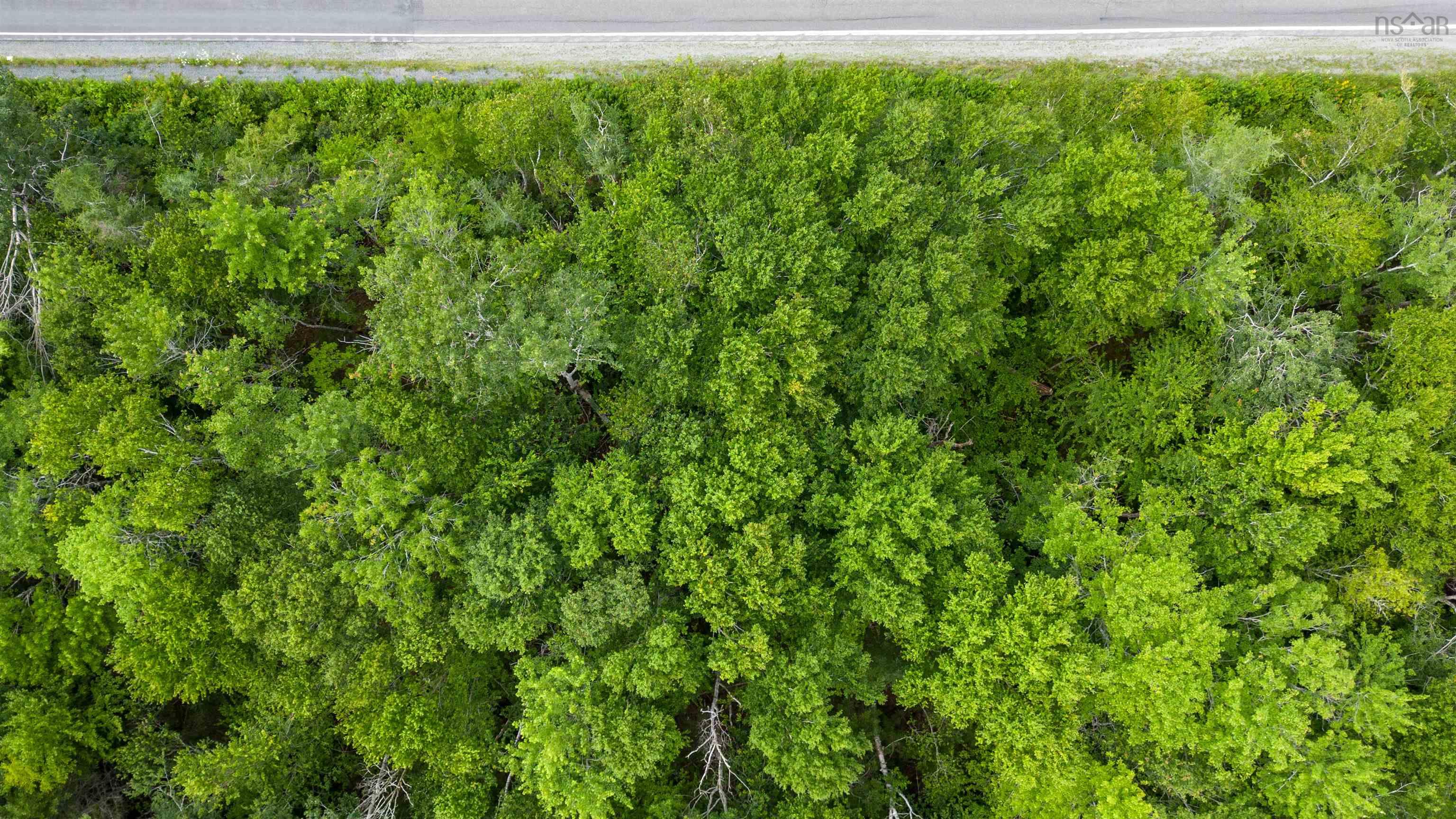 $34,000.00: Sheet Harbour Road, Mill Lake