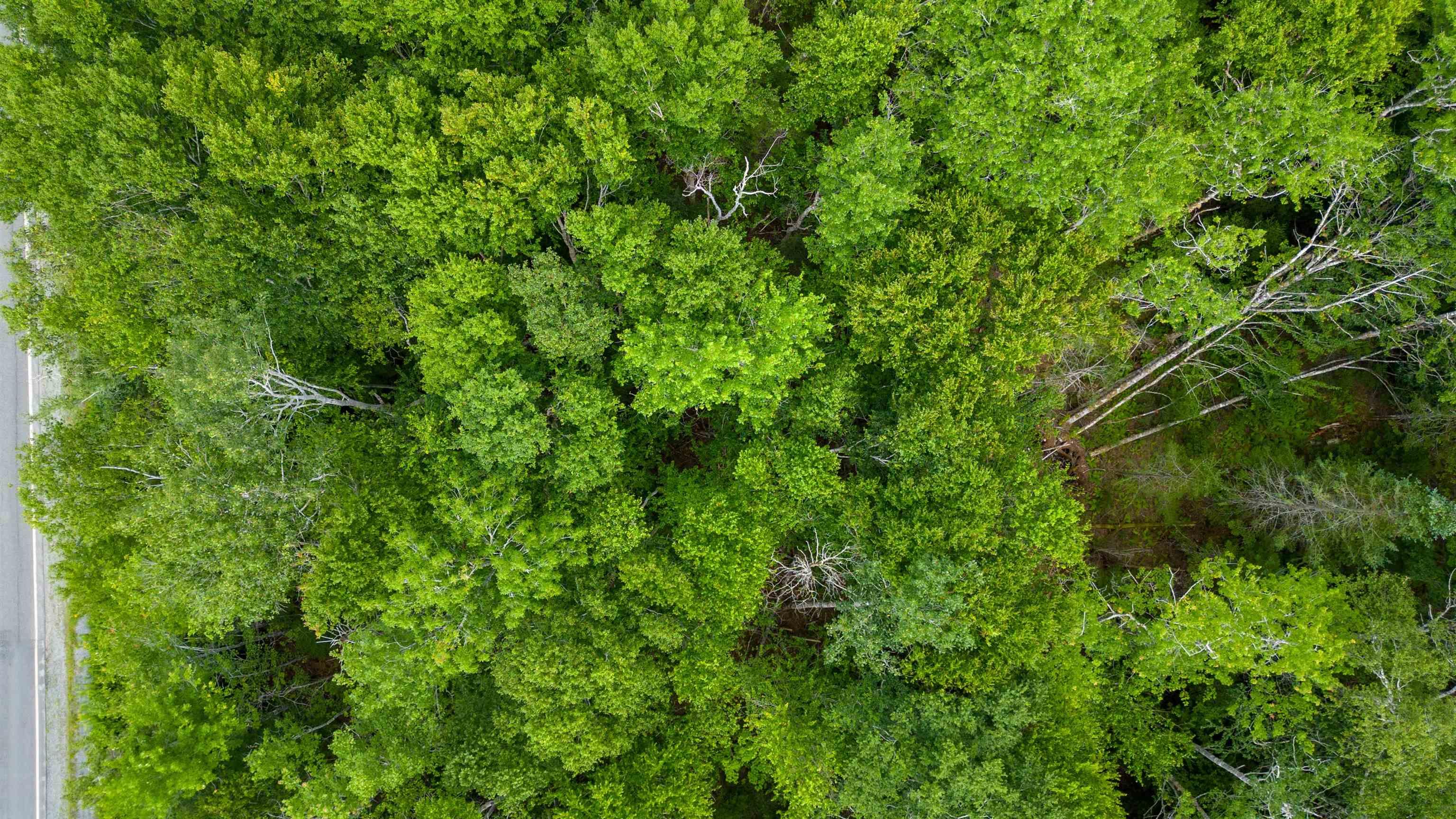 $34,000.00: Sheet Harbour Road, Mill Lake