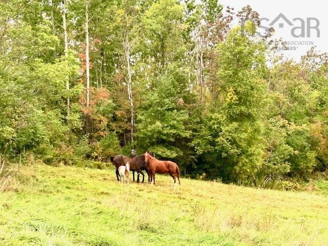 $870,000.00: 1143 Upper River John Road, Middleton