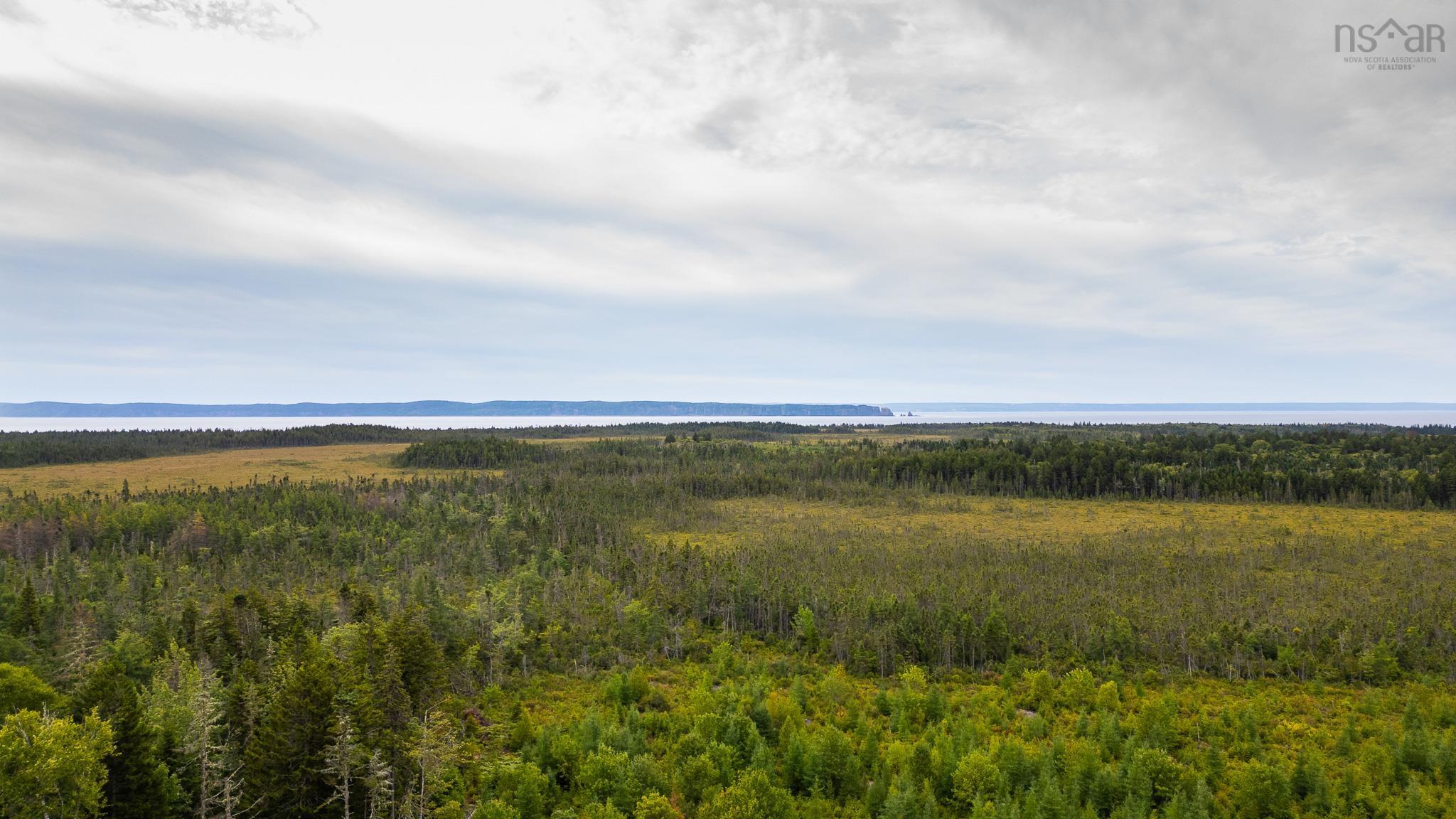$49,900.00: Highway 209, Diligent River