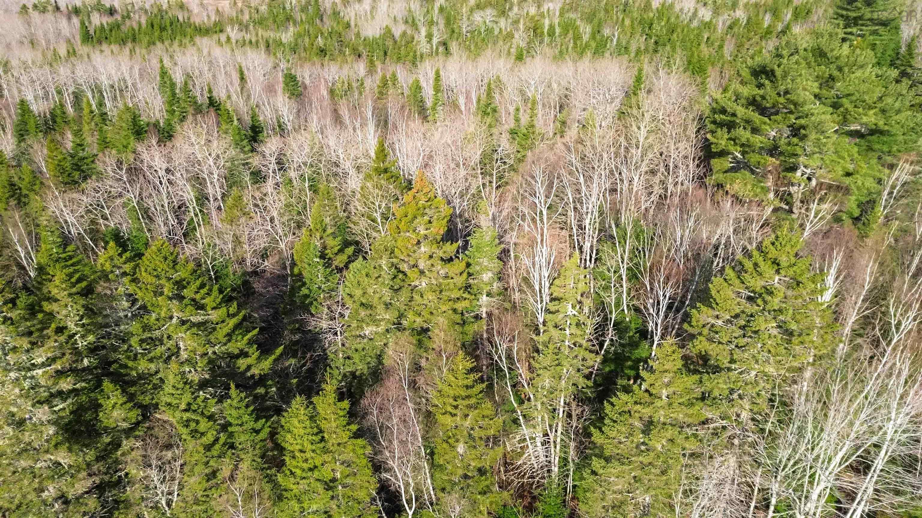 $40,000.00: Parcel J Aylesford Road, Lake Paul