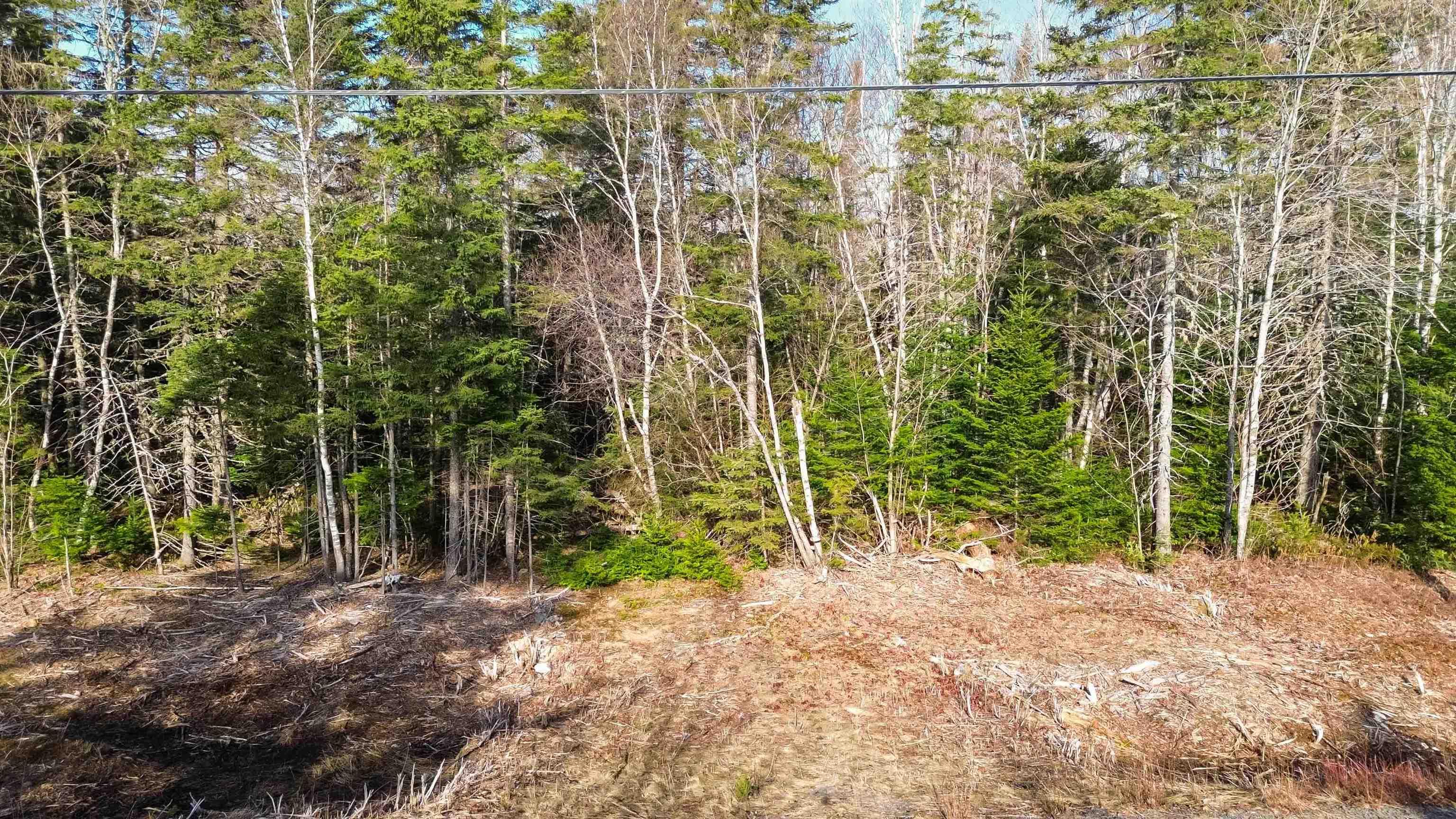 $40,000.00: Parcel J Aylesford Road, Lake Paul