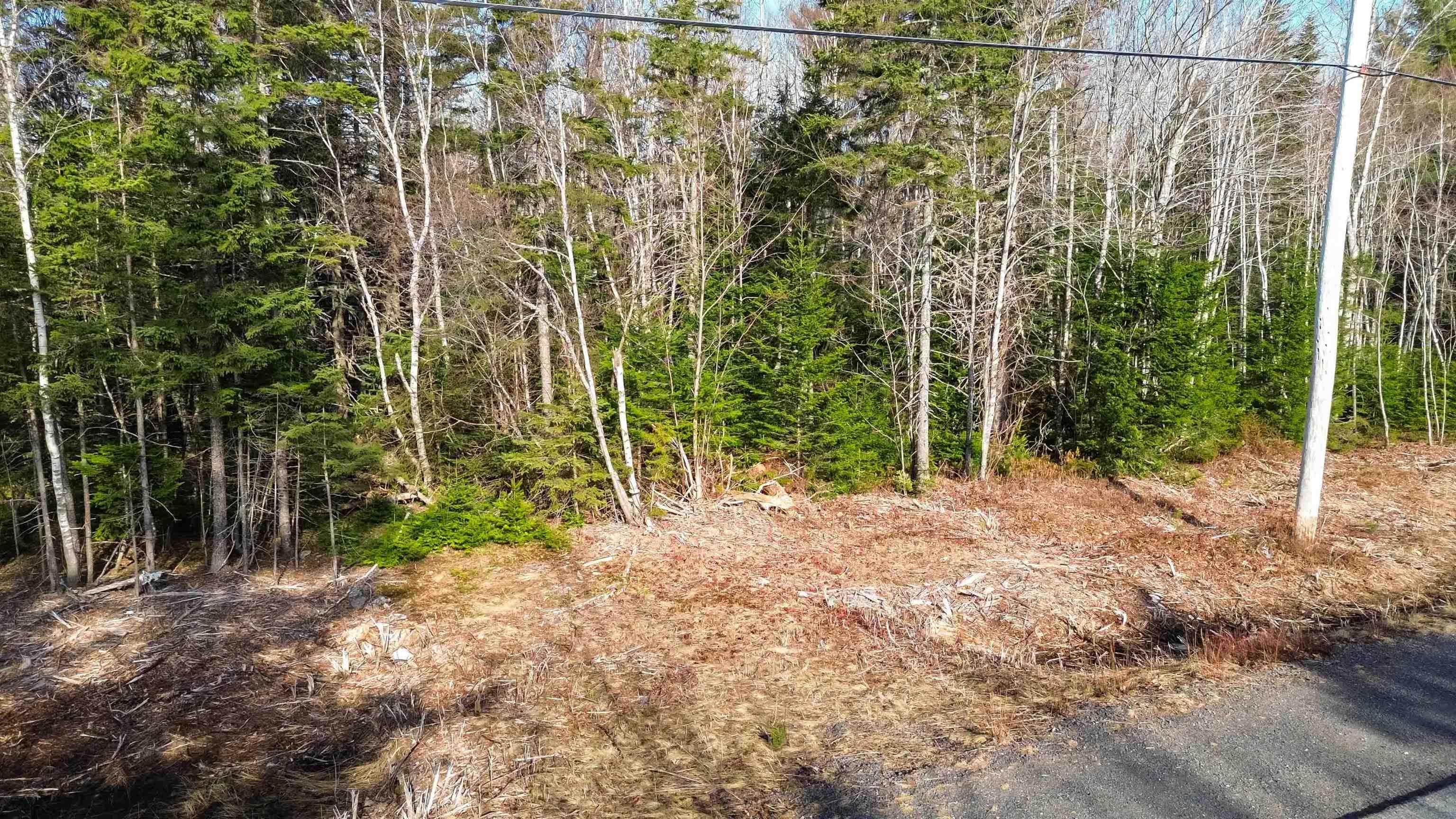 $40,000.00: Parcel J Aylesford Road, Lake Paul
