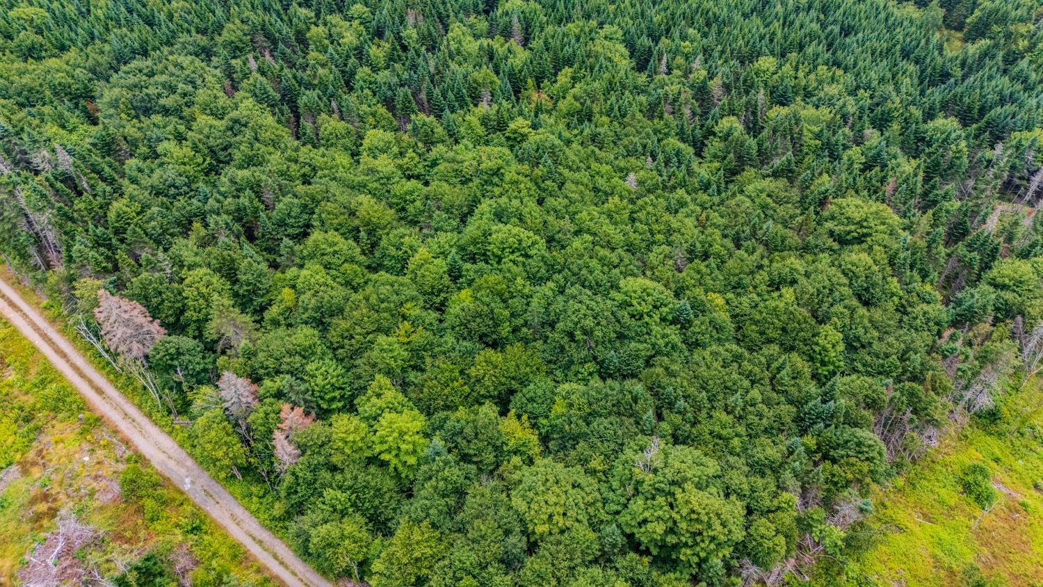 $199,000.00: 676 WESTCHESTER Road, Sutherland Lake