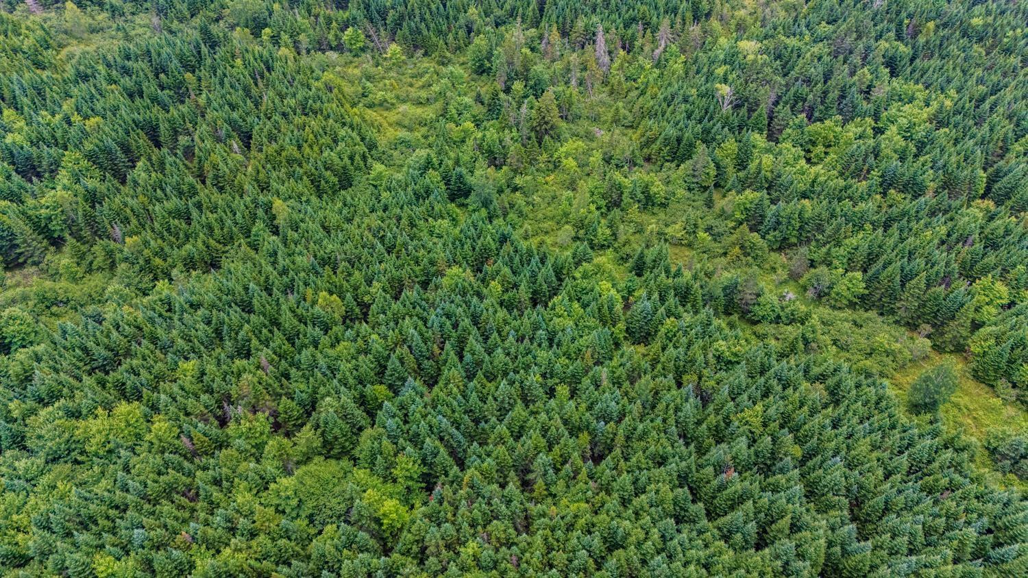 $199,000.00: 676 WESTCHESTER Road, Sutherland Lake