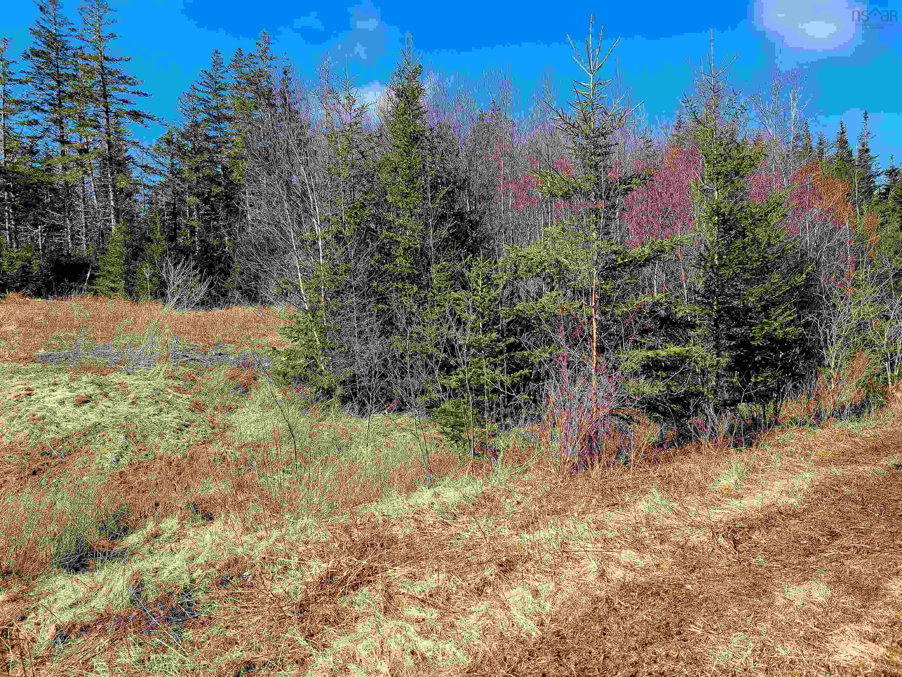 $29,000.00: Lot 11 Matway Dr, St. Peter