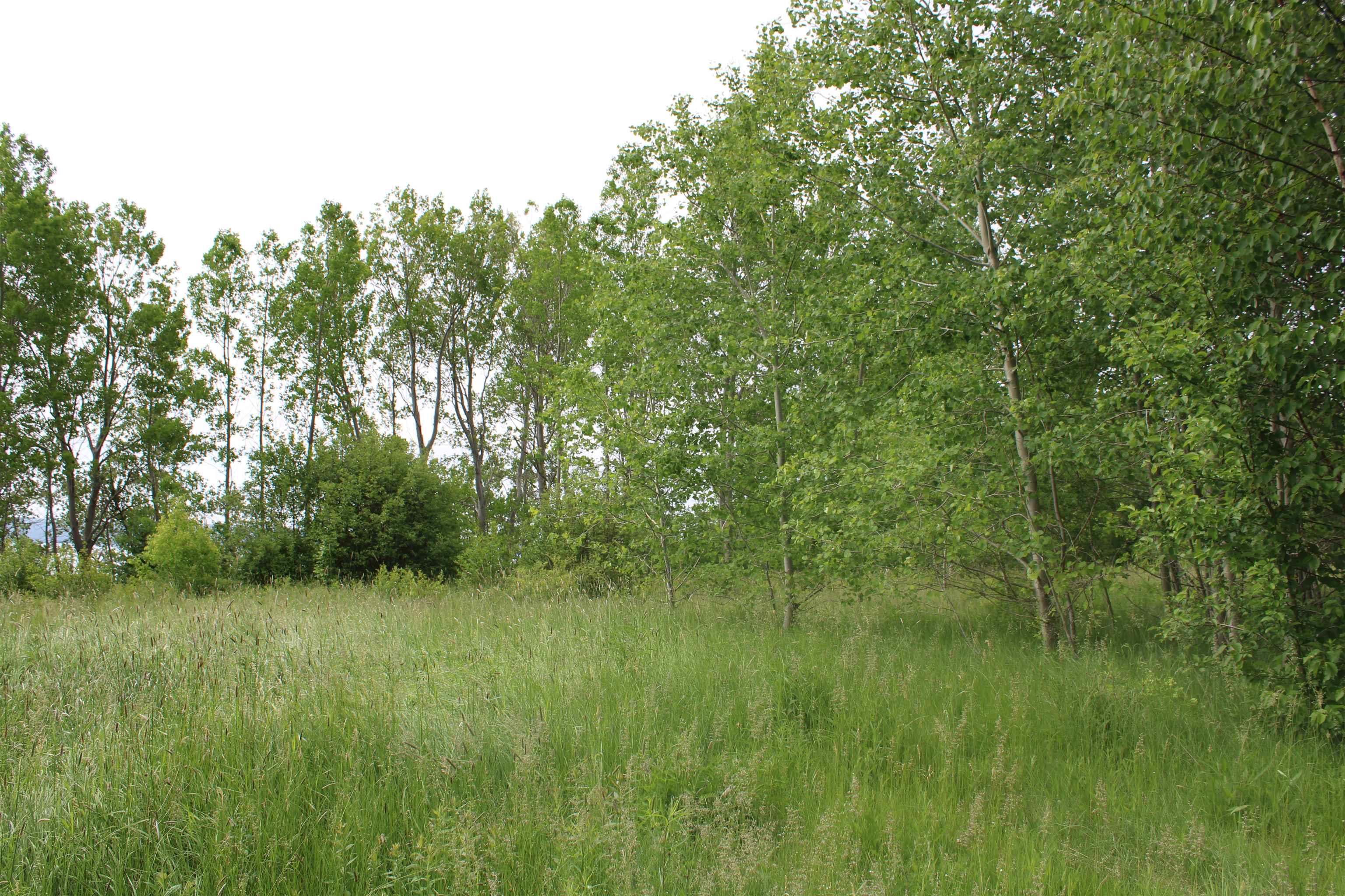 $134,000.00: Lot Granville Road, Karsdale