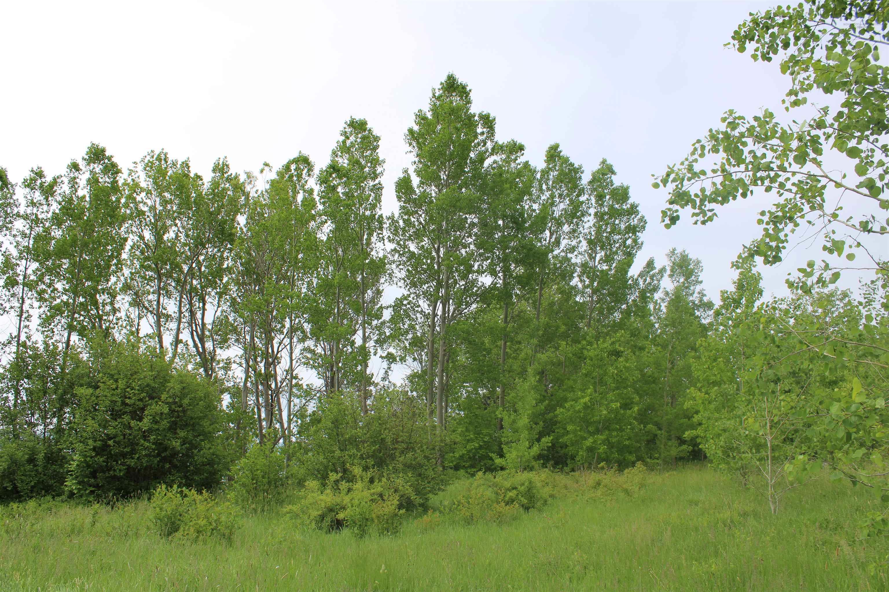 $134,000.00: Lot Granville Road, Karsdale