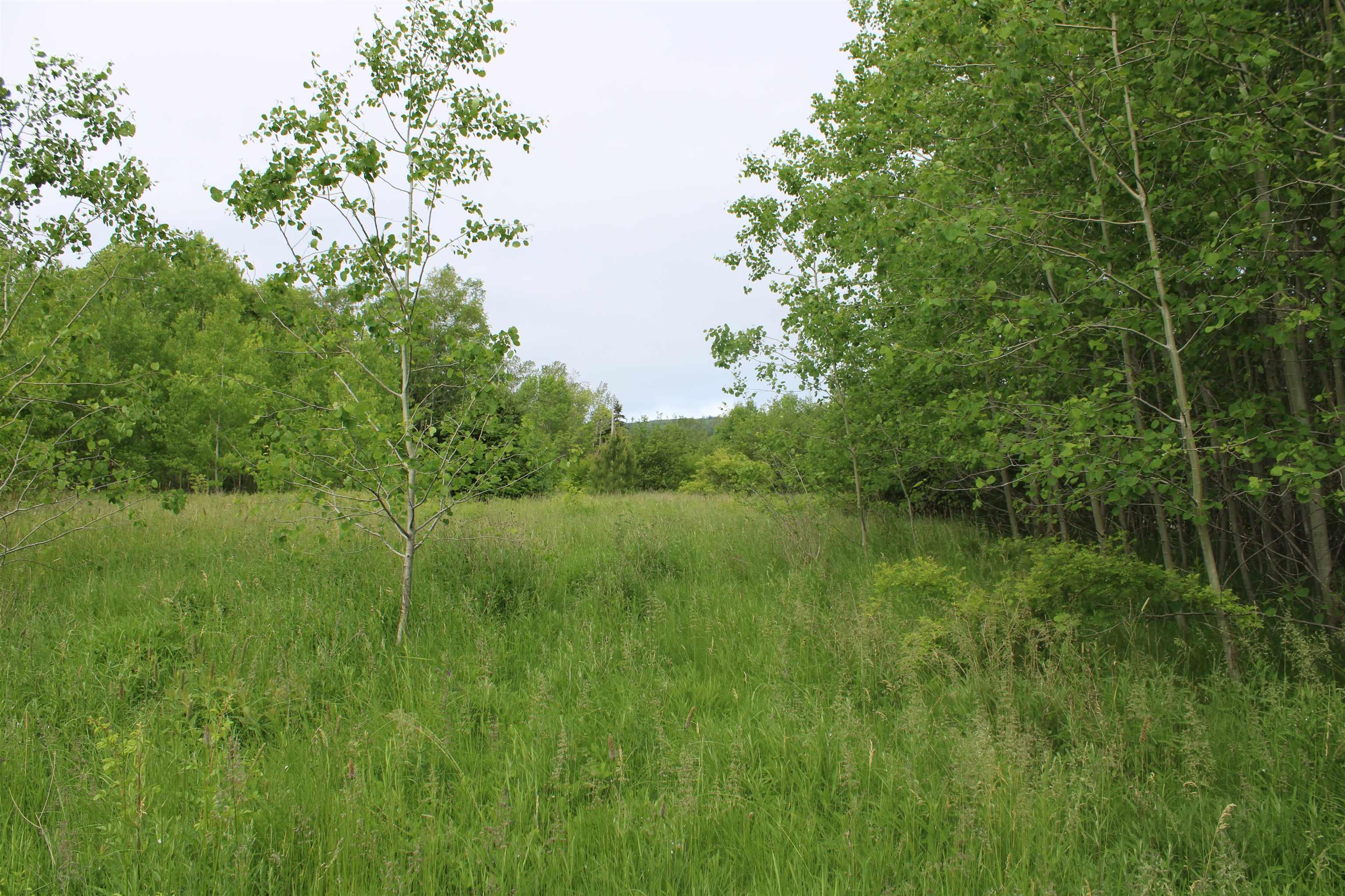 $134,000.00: Lot Granville Road, Karsdale