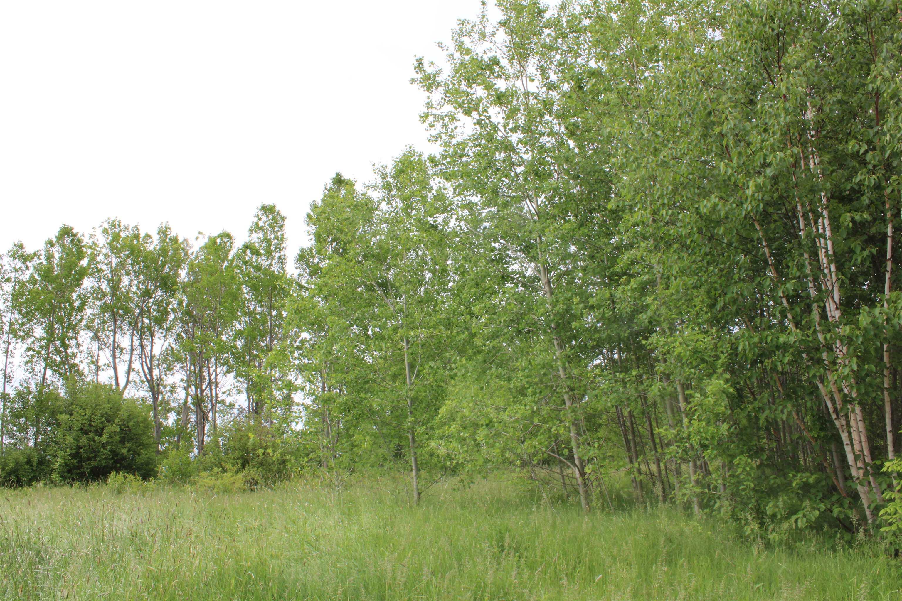 $134,000.00: Lot Granville Road, Karsdale