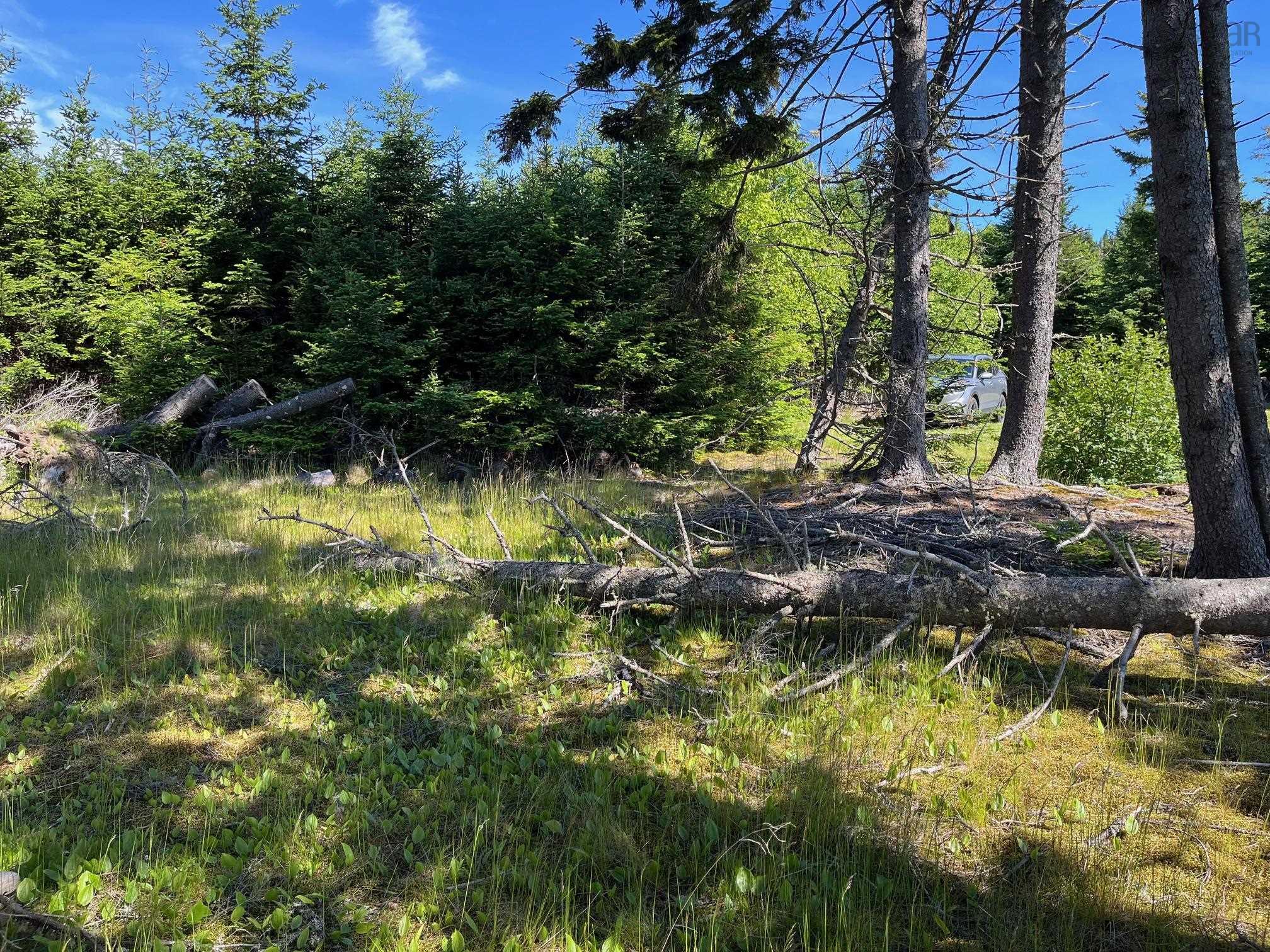 $199,000.00: 8208 Highway 209, Wards Brook