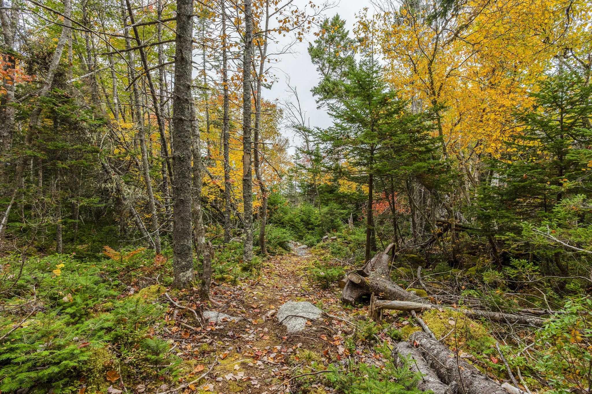 Lot Scott's Point Road, East Dover, NS (MLS 202607461)